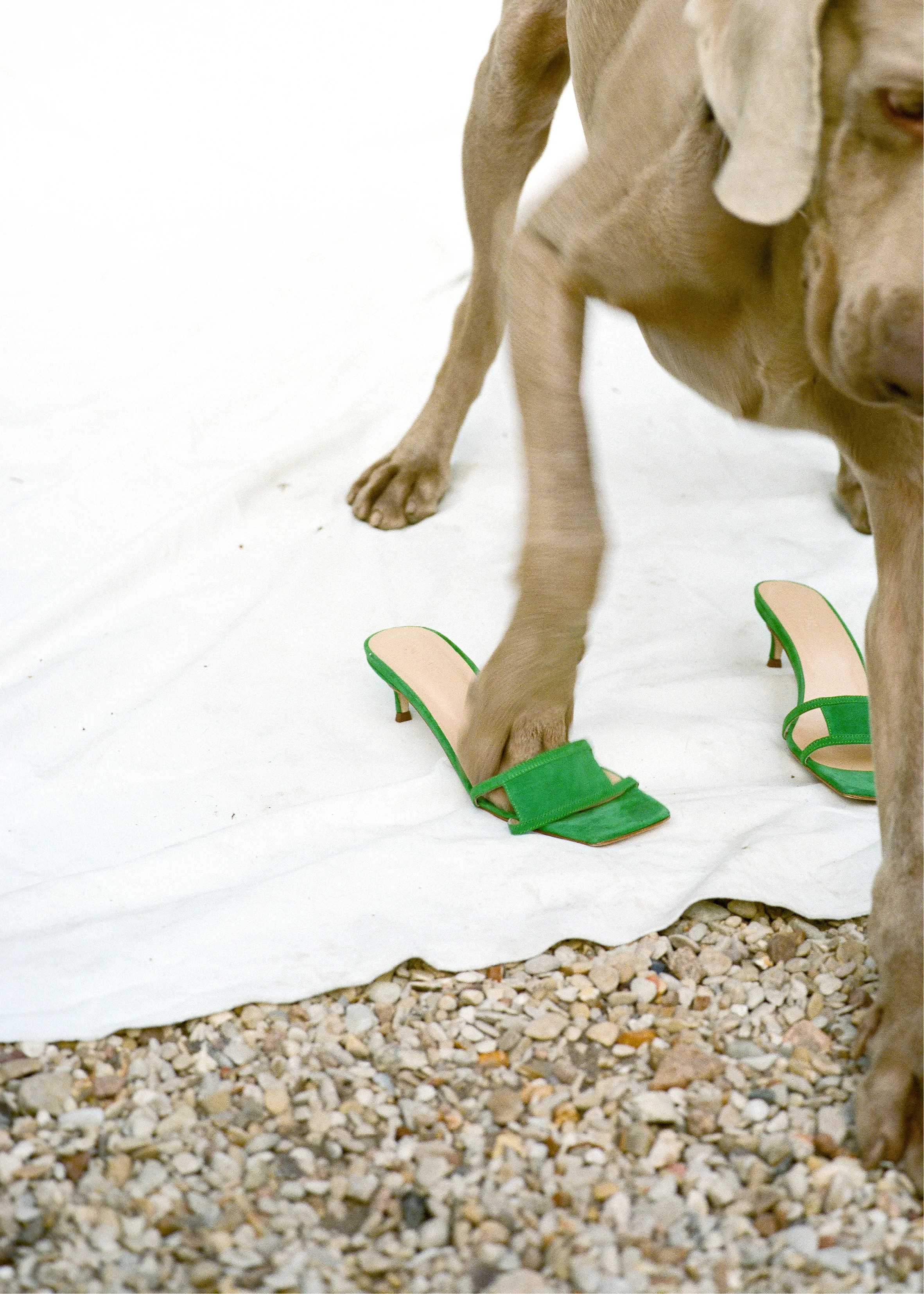 BY FAR Virgo Green Suede Kitten-Heeled Sandals