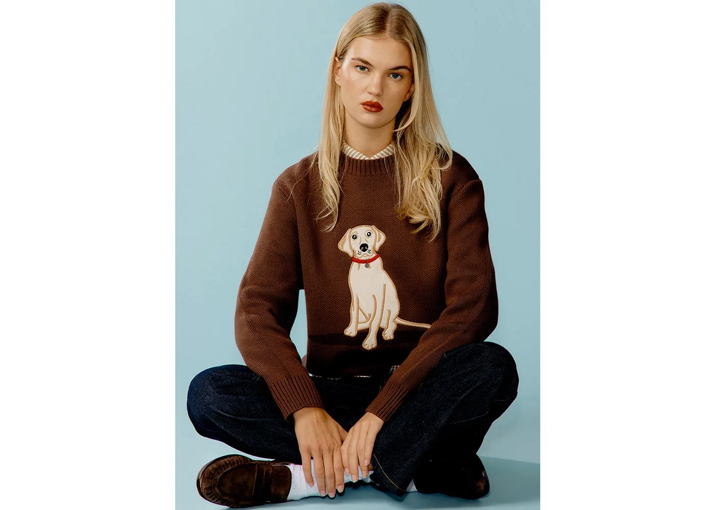 House of Sunny The Labrador