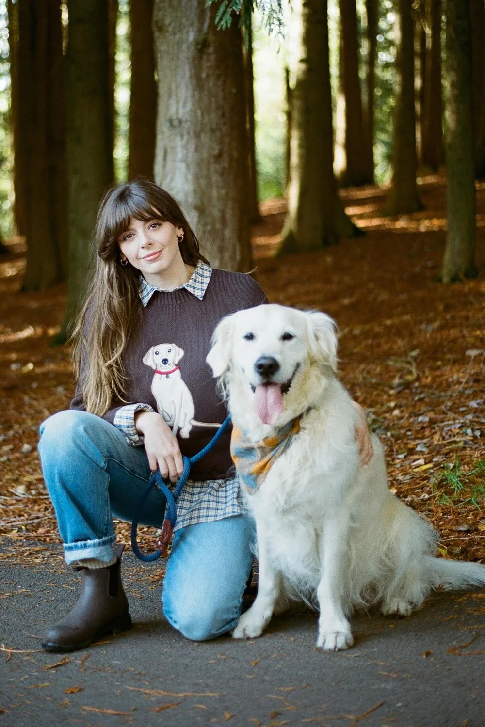 @sophia_rosemary in House of Sunny The Labrador