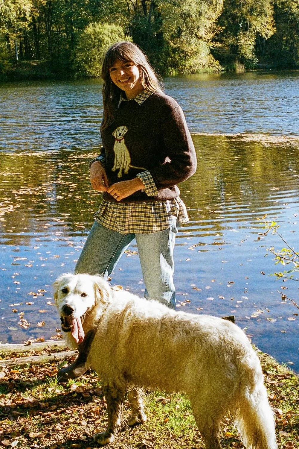 @sophia_rosemary in House of Sunny The Labrador