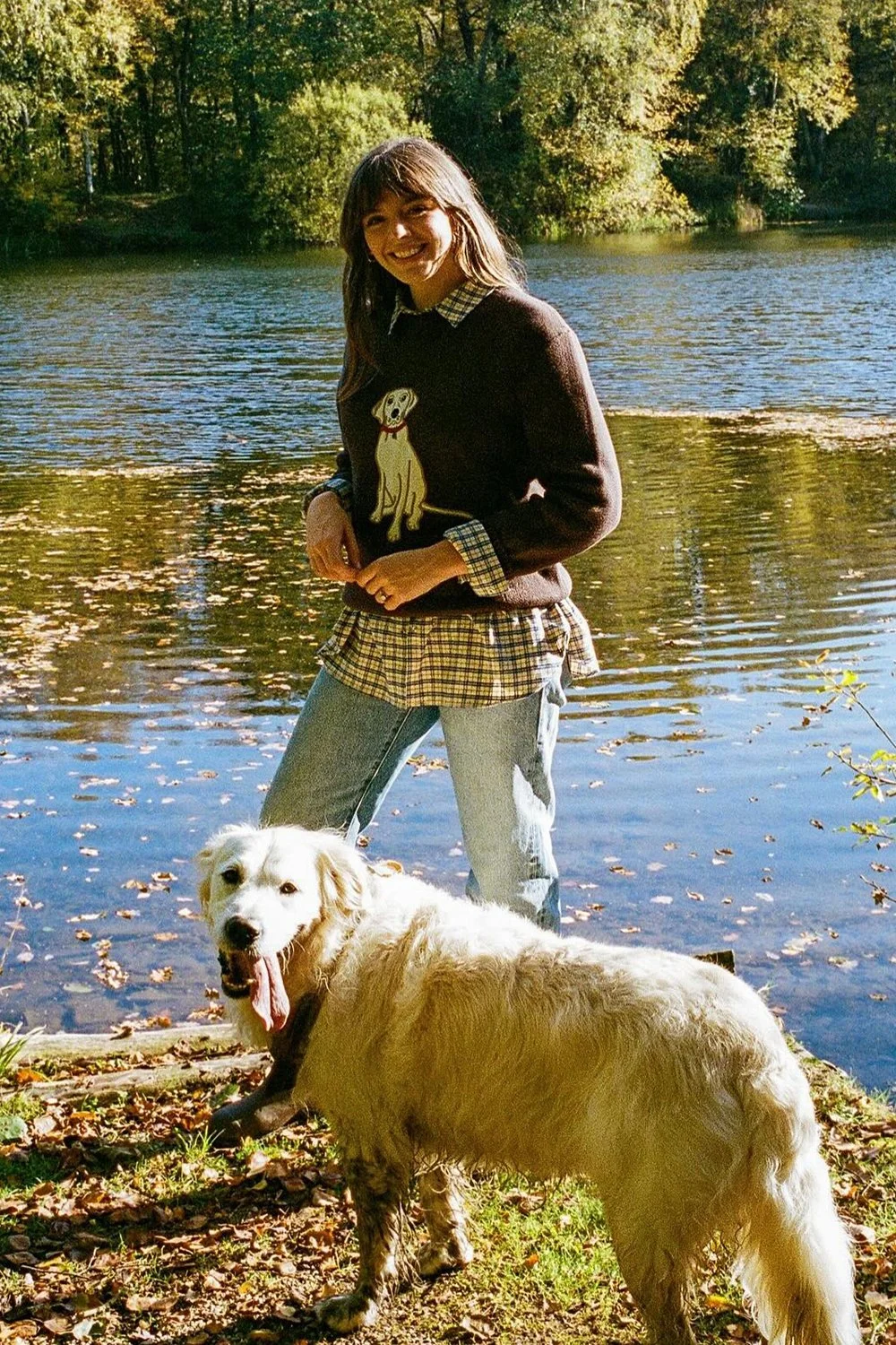 @sophia_rosemary in House of Sunny The Labrador