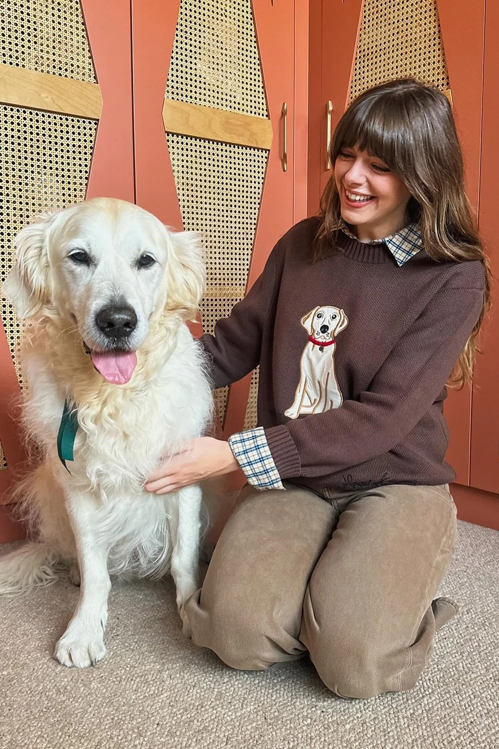 @sophia_rosemary in House of Sunny The Labrador