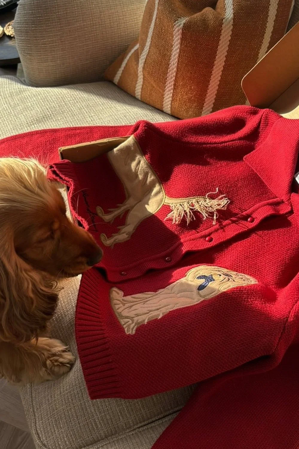 @rebeccaferrazwyatt in House of Sunny The Lady Tripper