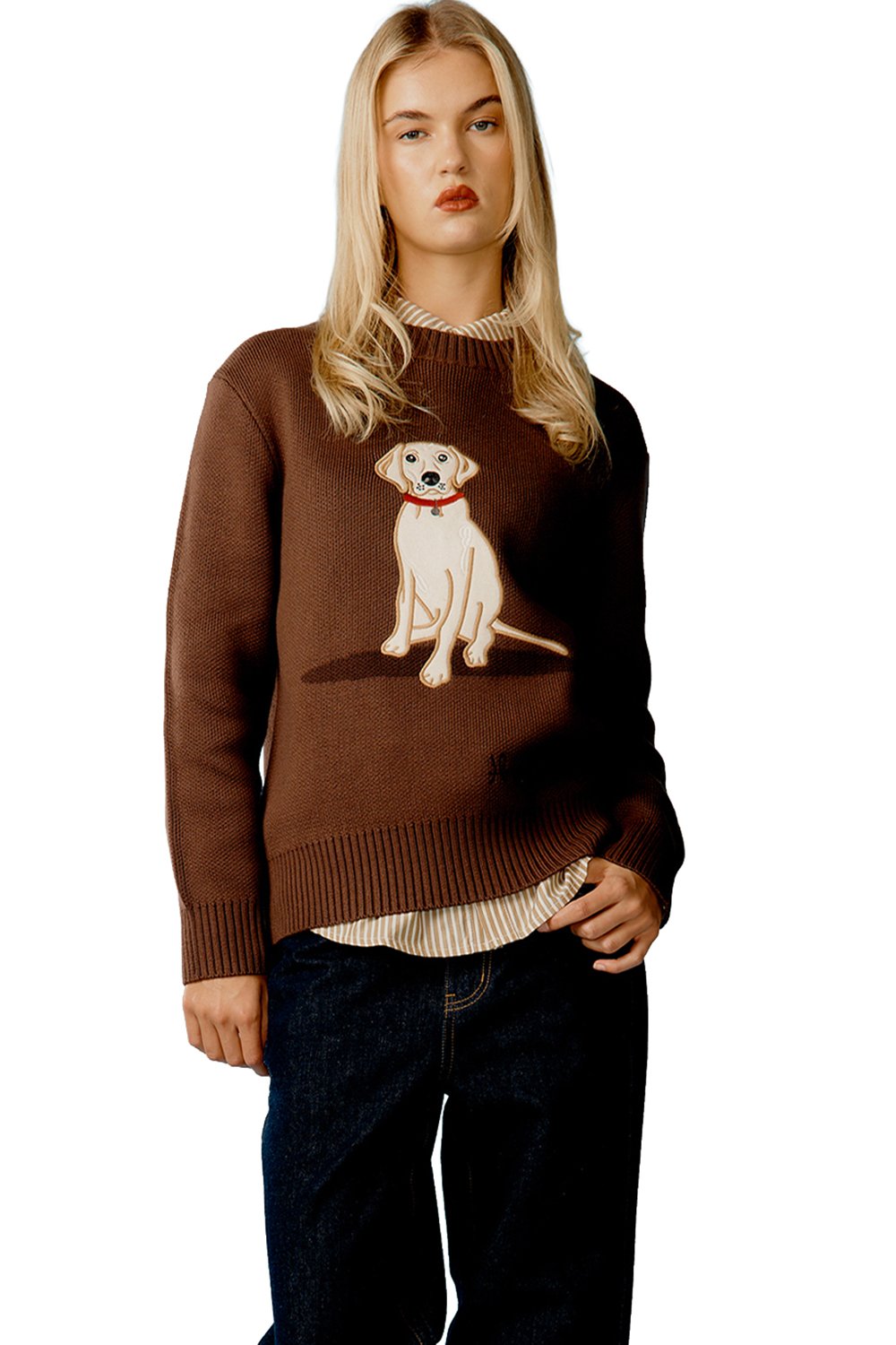 House of Sunny The Labrador