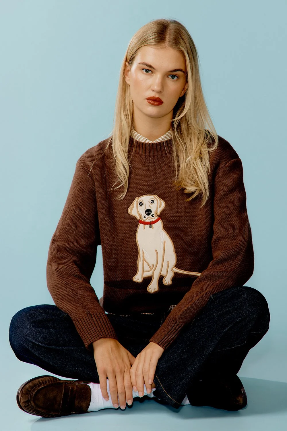 House of Sunny The Labrador