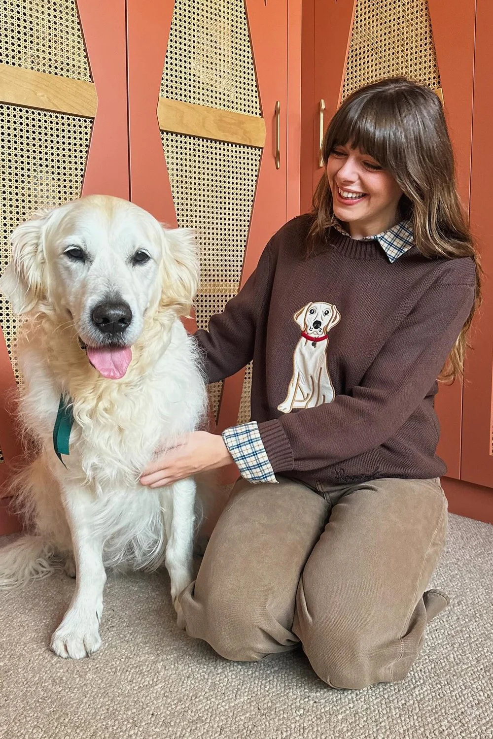 @sophia_rosemary in House of Sunny The Labrador