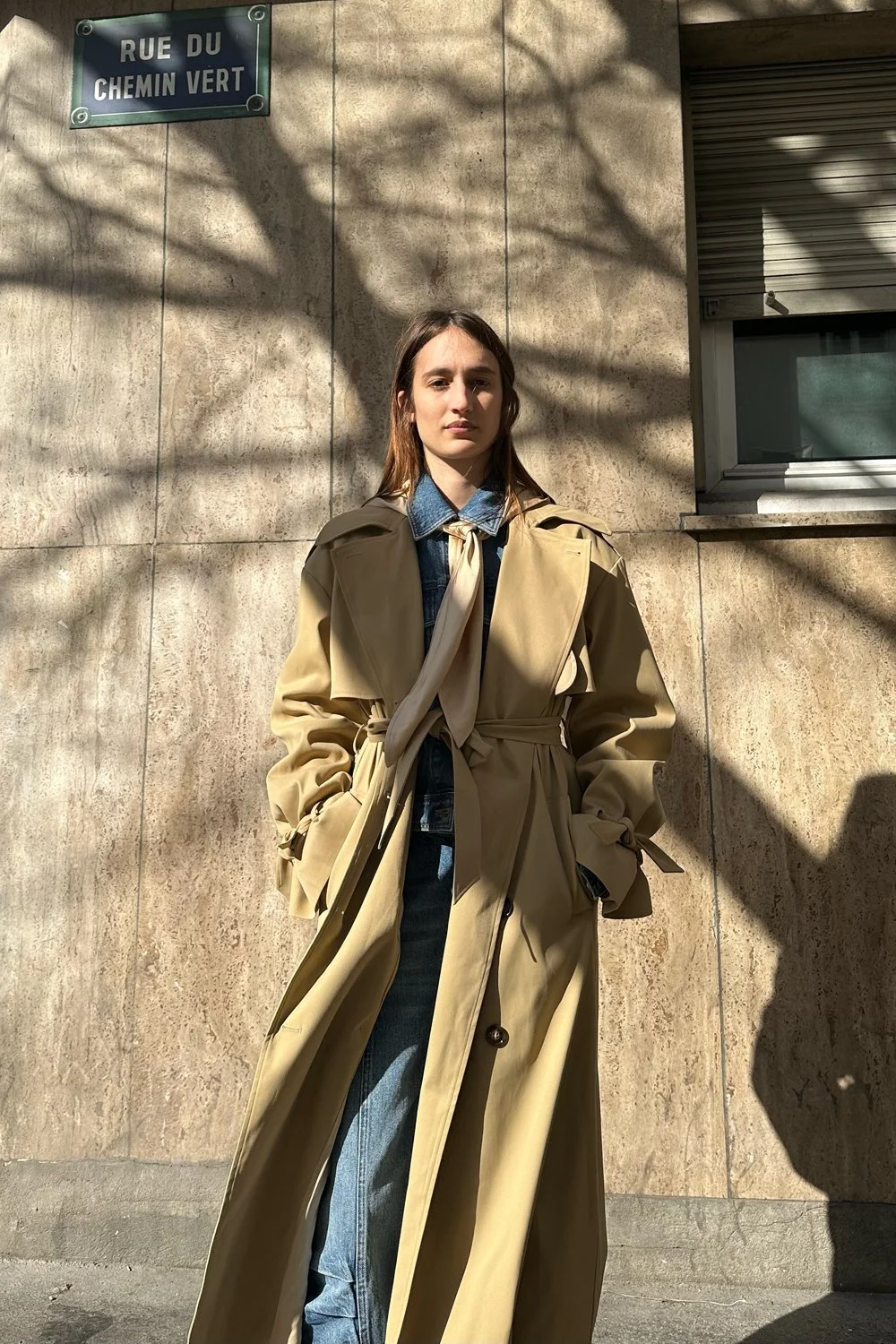 SAEMDI Aurora Trench