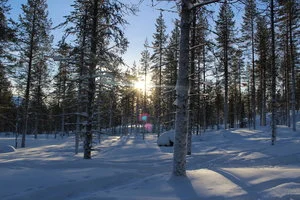 IMG_9040.jpg