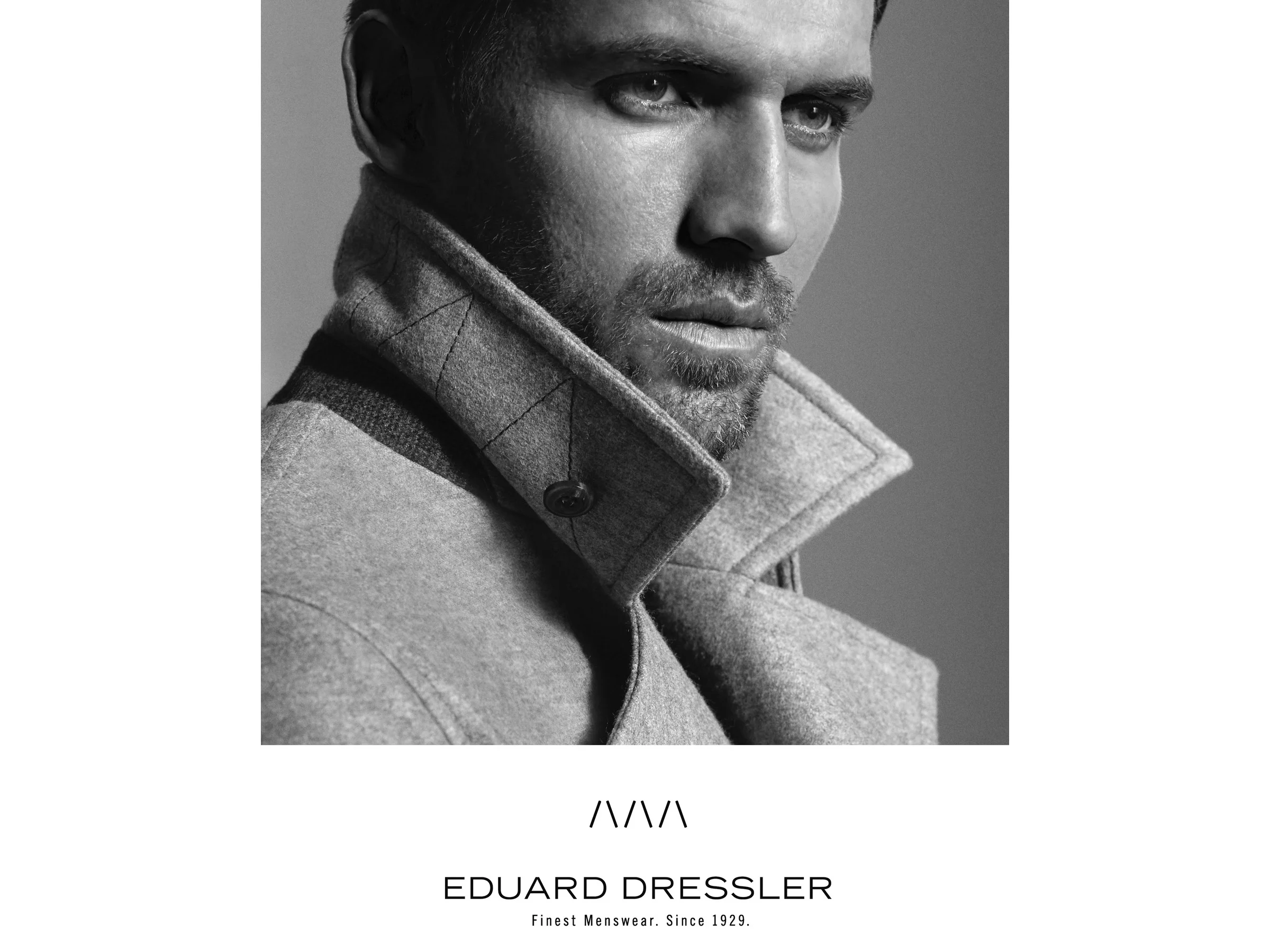 dressler1.jpg