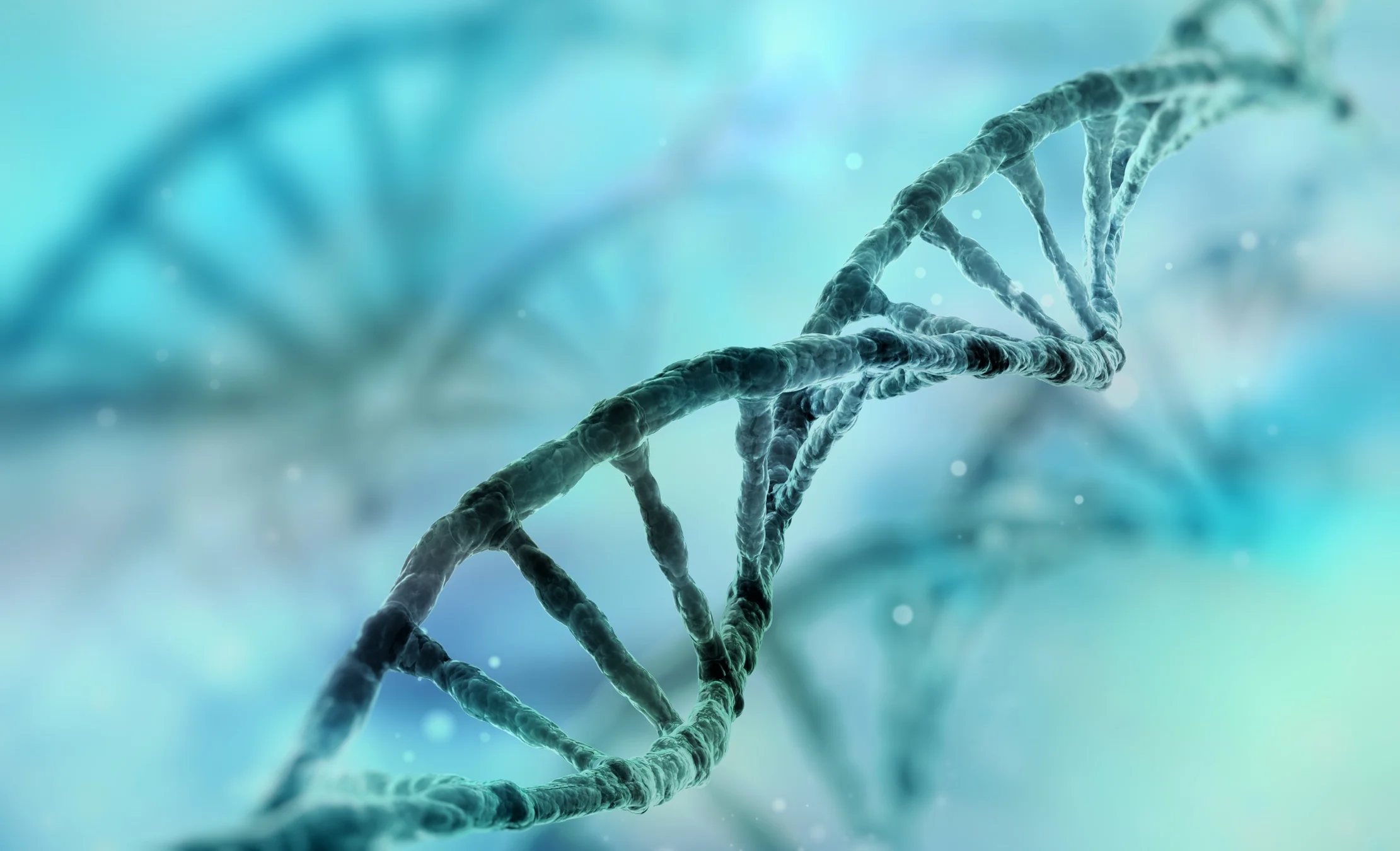 CRISPR-Cas valt voortaan onder strenge GMO-wetgeving