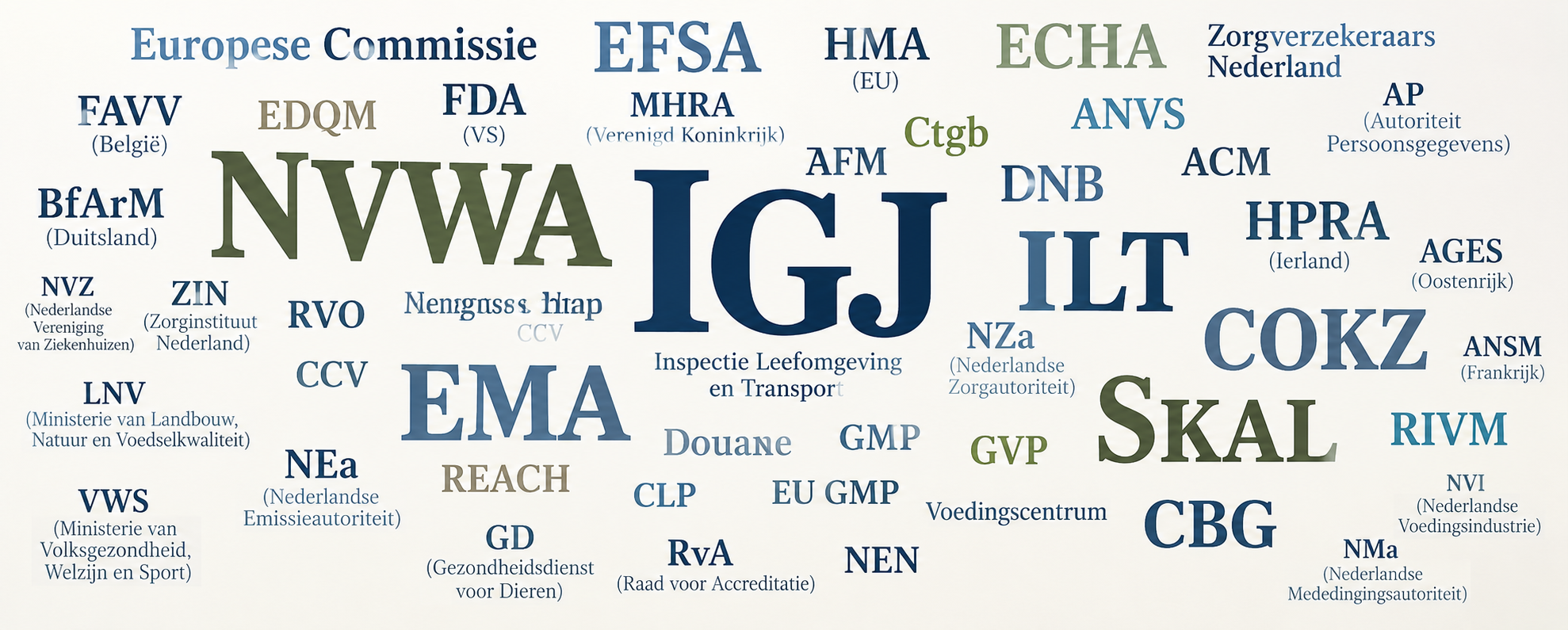 Dutch Regulatory Agencies Word Cloud.png