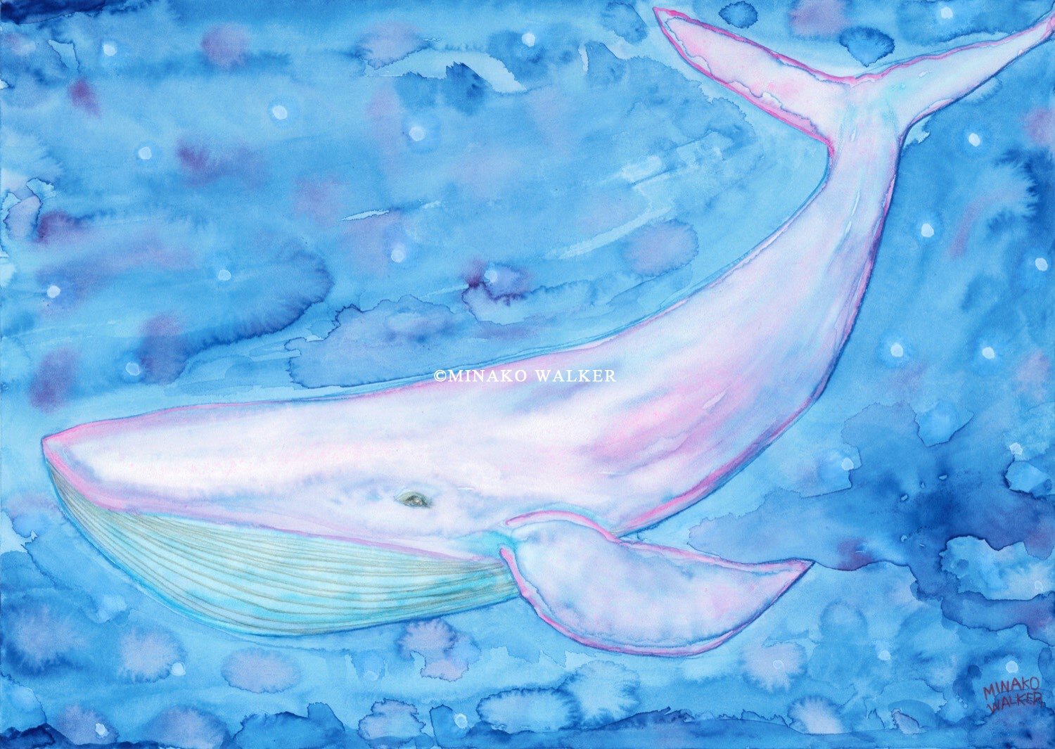 2. Pink Whale | 桃色クジラ