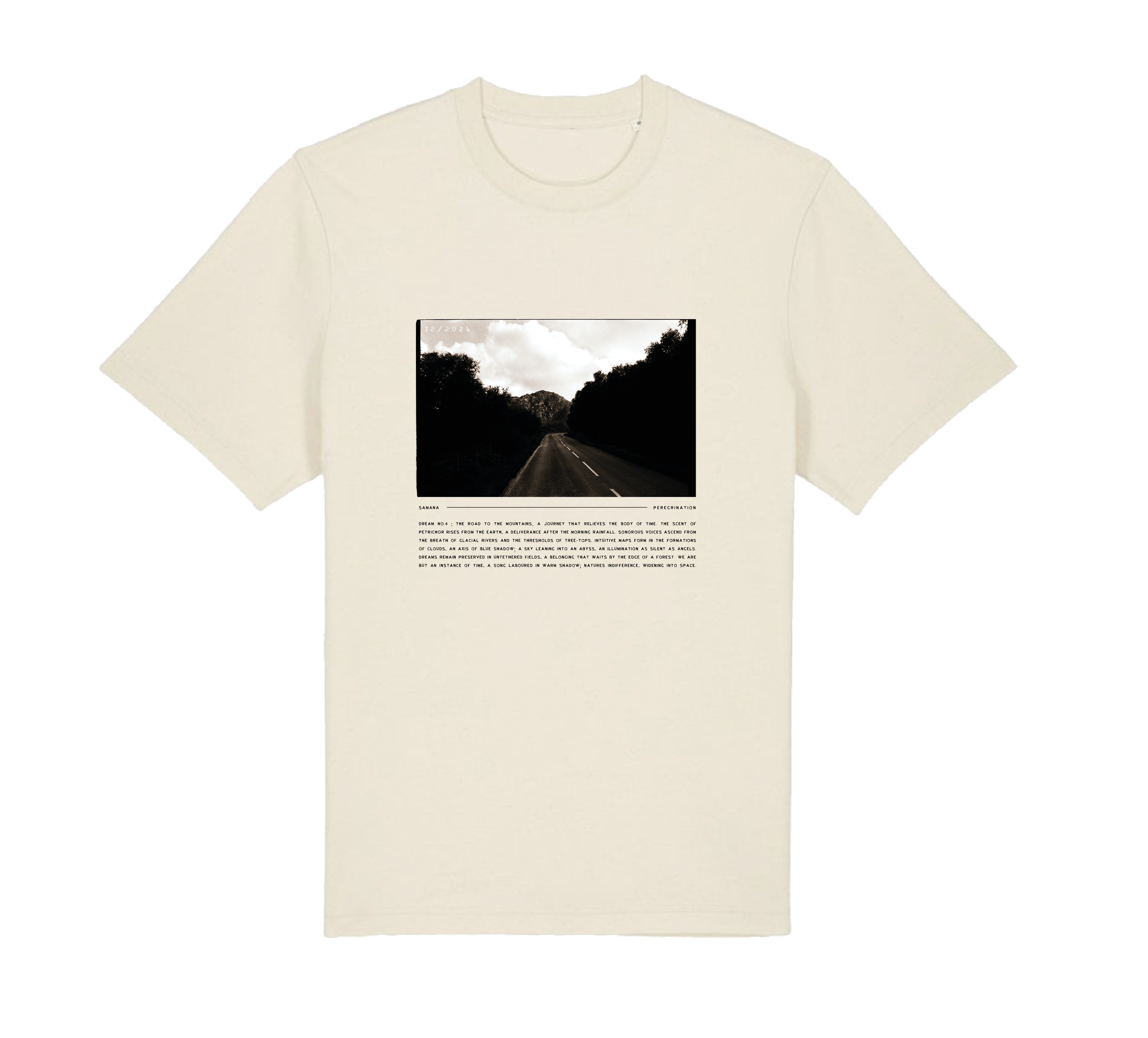 T example Samana_.png