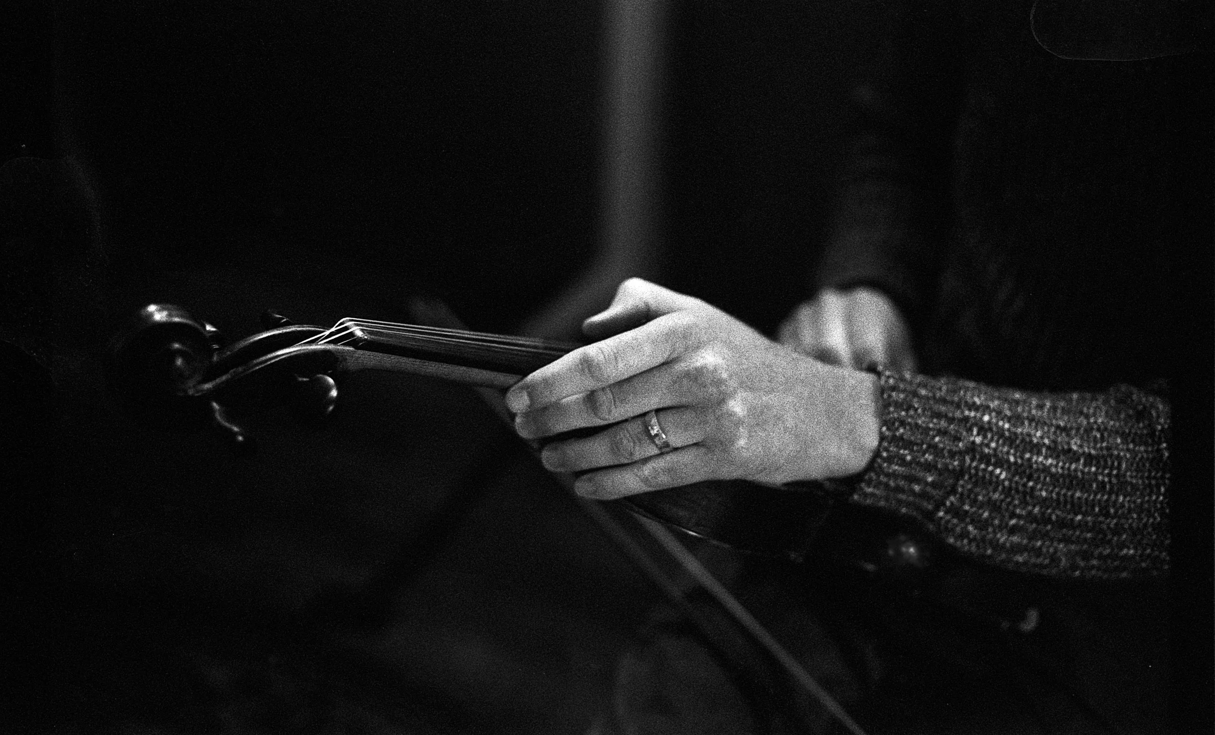 waxing+violin.jpg