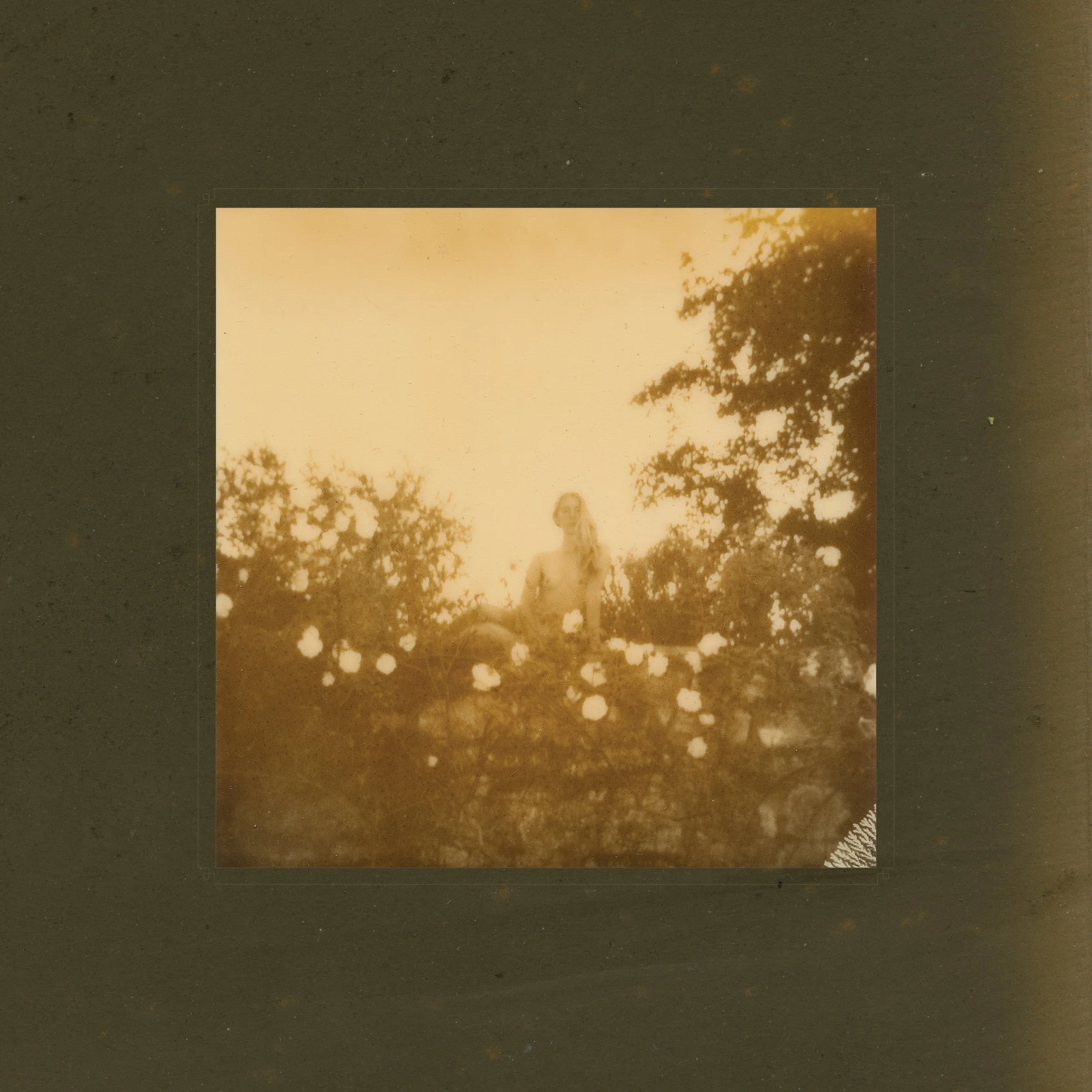 Pallid Dreams - Samana