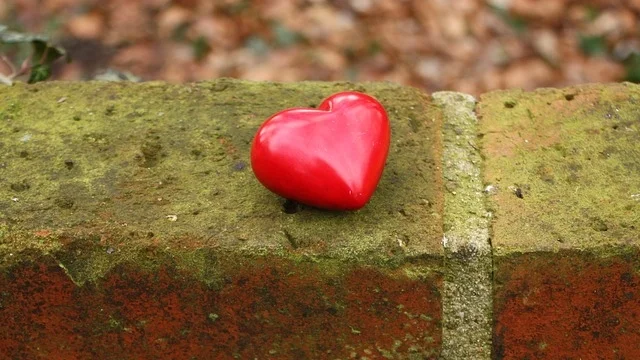 .... Wieviel ist uns ein liebendes Herz wert ? .. What is the value of a loving heart? ....