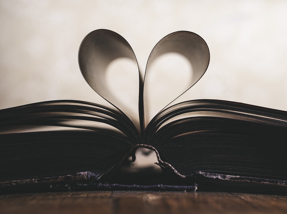 .... Etwas gemeinsam Lesen, zusammen Wissen und Weisheit aufbauen, gehört zu reifen Beziehungen .. Reading something together, growing in knowledge and wisdom together, is a wonderful way for a relationship to grow. ....