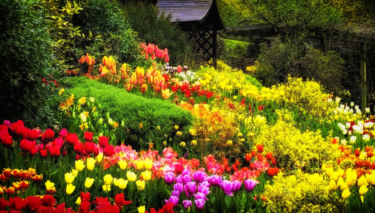 Freuen wir uns an den schönen Blumen und Früchten, die unser Erziehungsgarten hervorbringt... Gute Erziehungsarbeit bringt Lebensfreude !