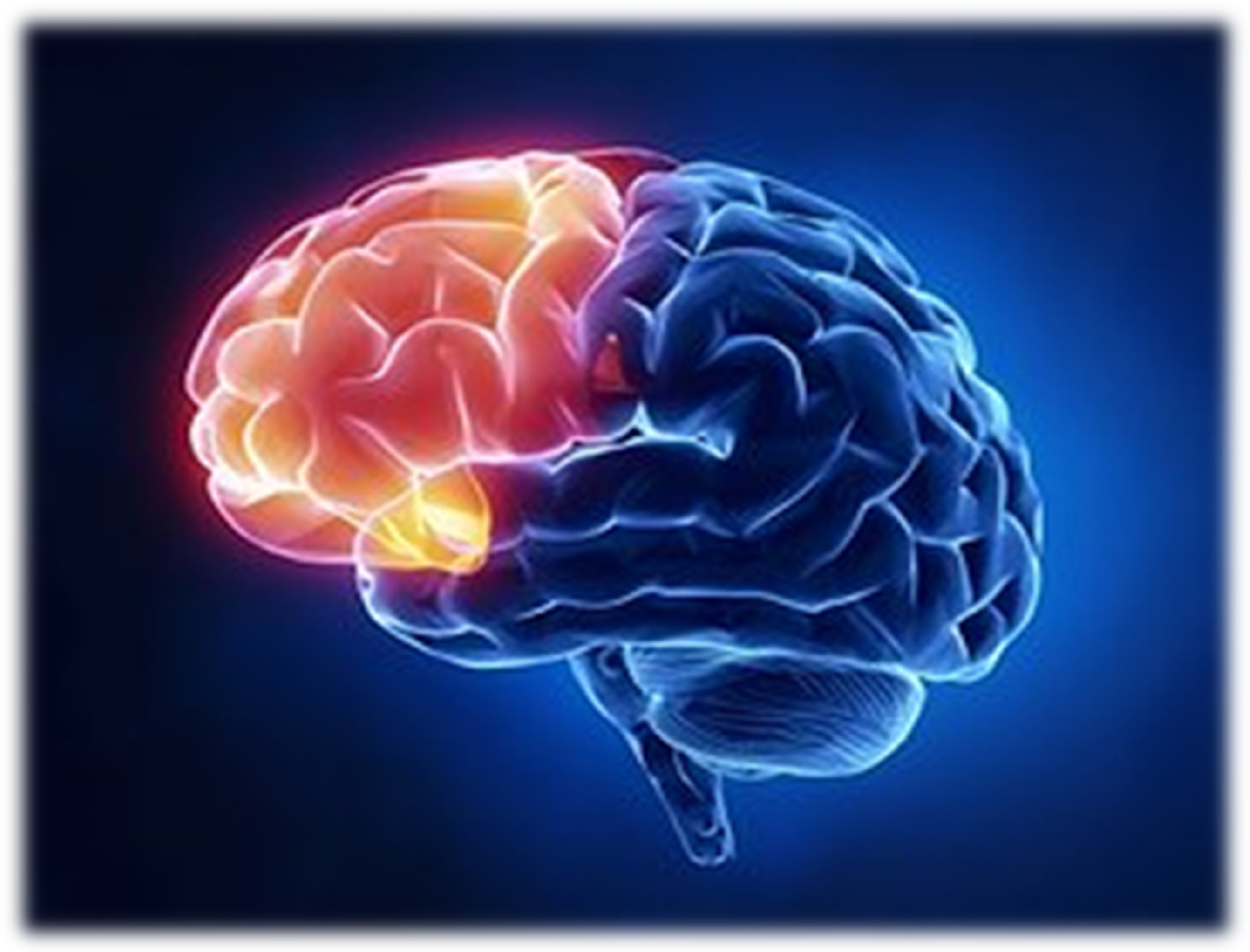 .... Wir wissen alle, dass unser Gehirn höchst wichtig ist für unsere Lebensqualität. Viel Wissenswertes ist uns von der Neurologie in letzter Zeit weitergereicht worden. Heute geht es um den Frontallappen, das Organ der 'Zivilisation', und um eine denkwürdige Begegnung mit Dr. Baldwin USA. .. Everybody knows that our brains are vitally important for our quality of life. A lot of valuable new information on neurology has come to our attention in the recent past. Today we will consider the frontal lobe, the organ of civilization, and a memorable encounter with Dr. Baldwin in Georgia, USA. ....