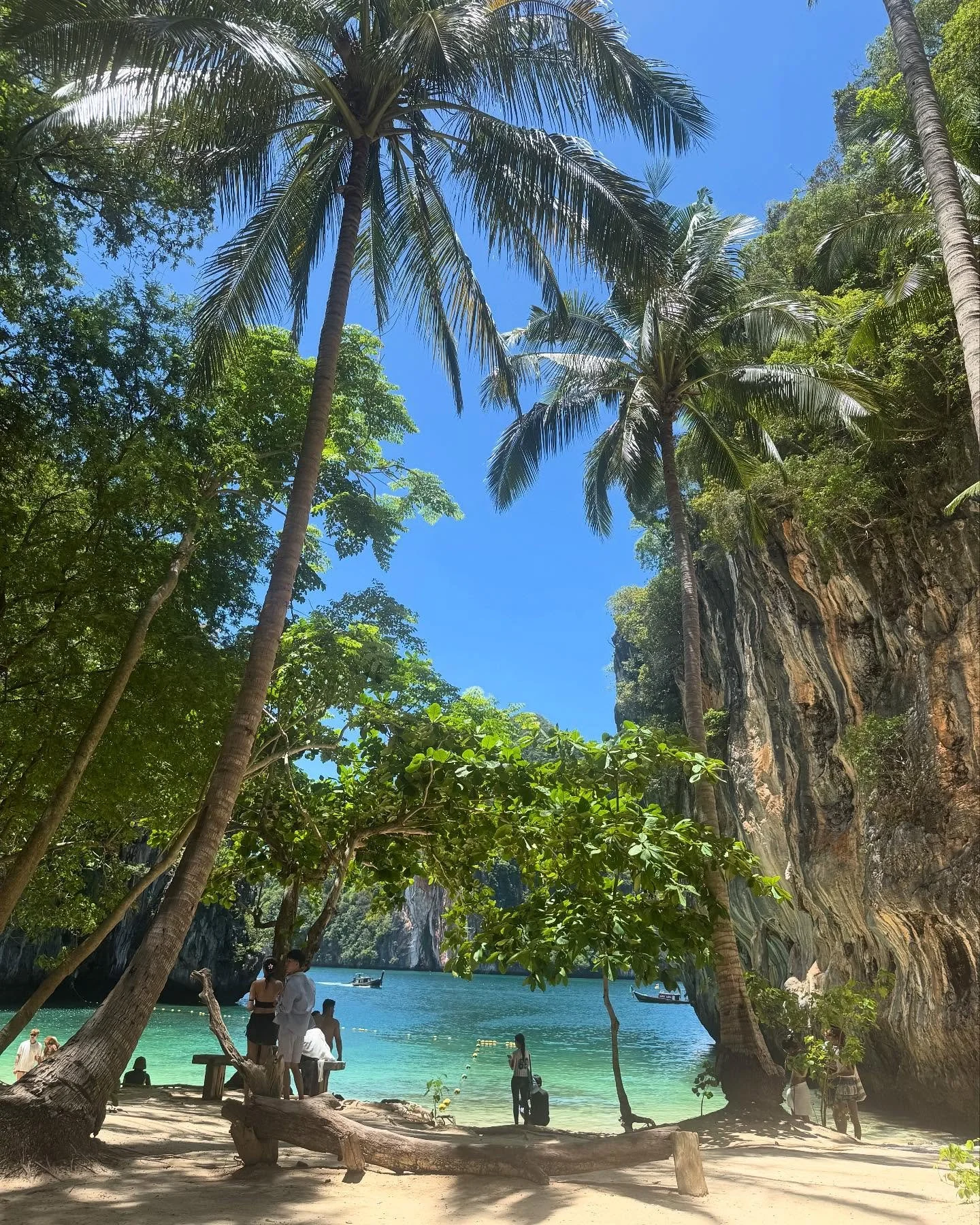 Extremely out of office &hellip; 

#thailand #gym #training #workout #entreprenuer #holidays #fitspo #fitfamily #backgains