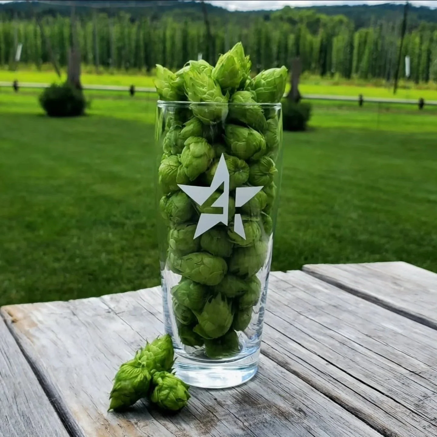 4 star farms hops in a glass massachusetts.jpg