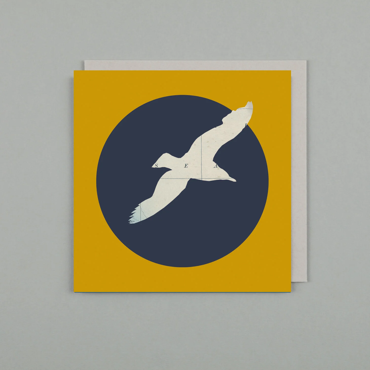 Square colourful card, Gull seabird, yello background and north sea map