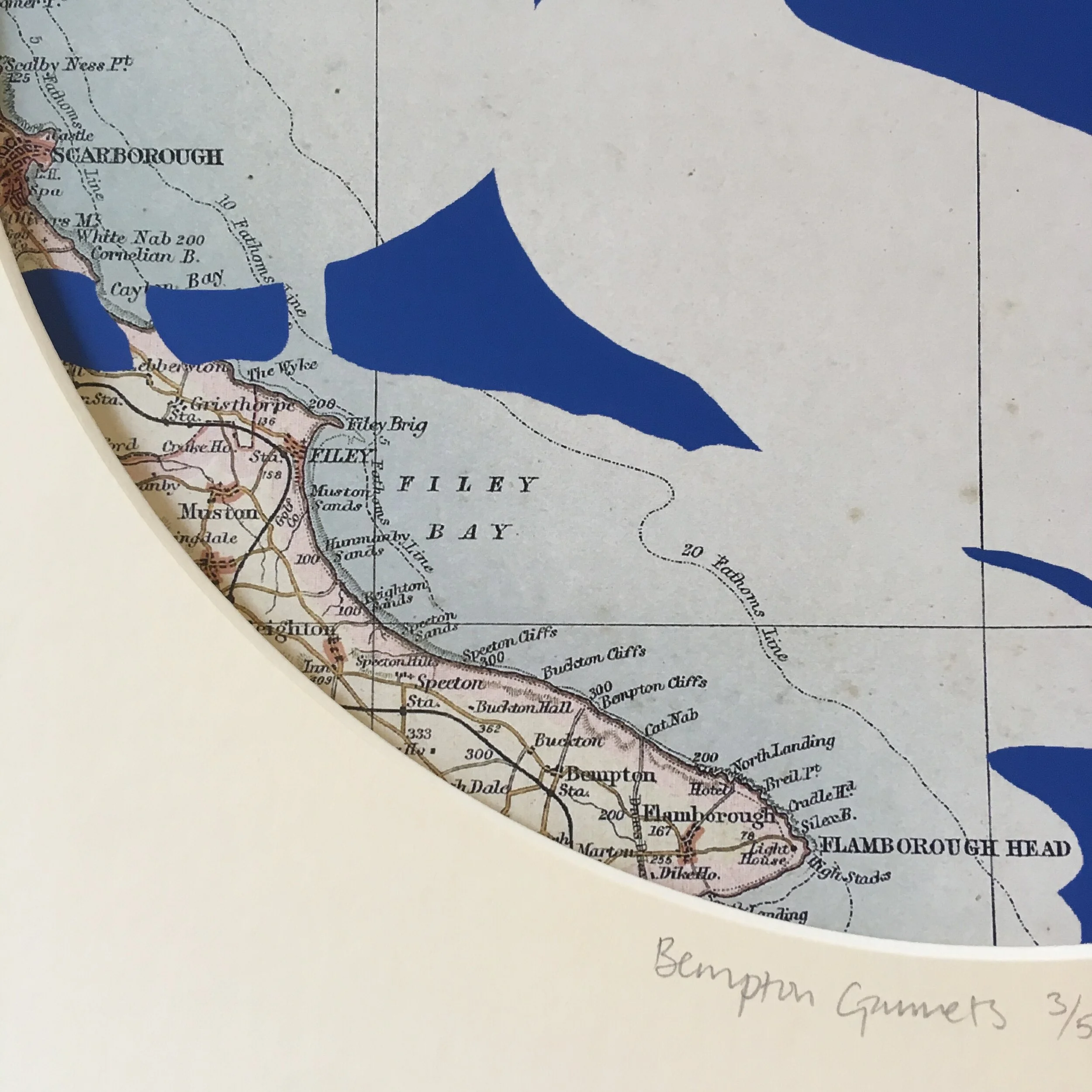 Gannet print detail with north sea map