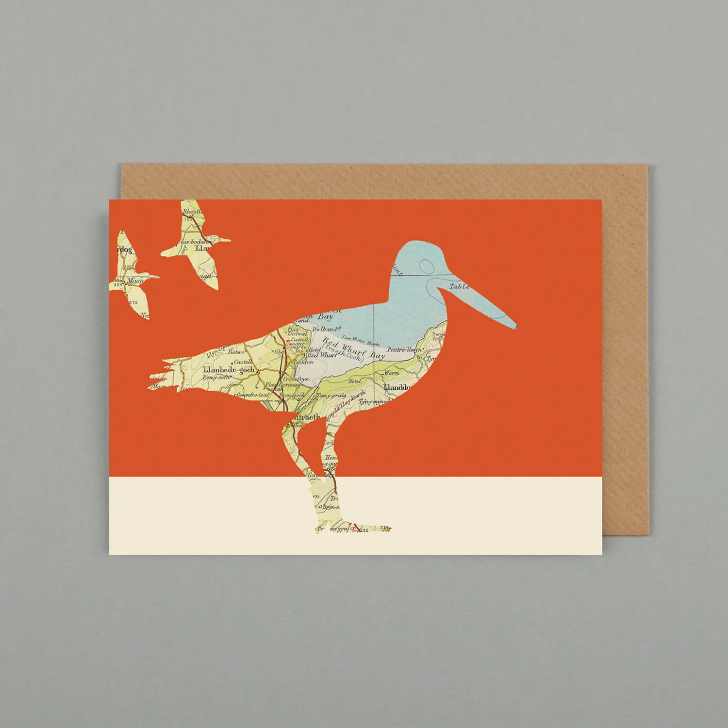 Anglesey Oystercatcher.jpg