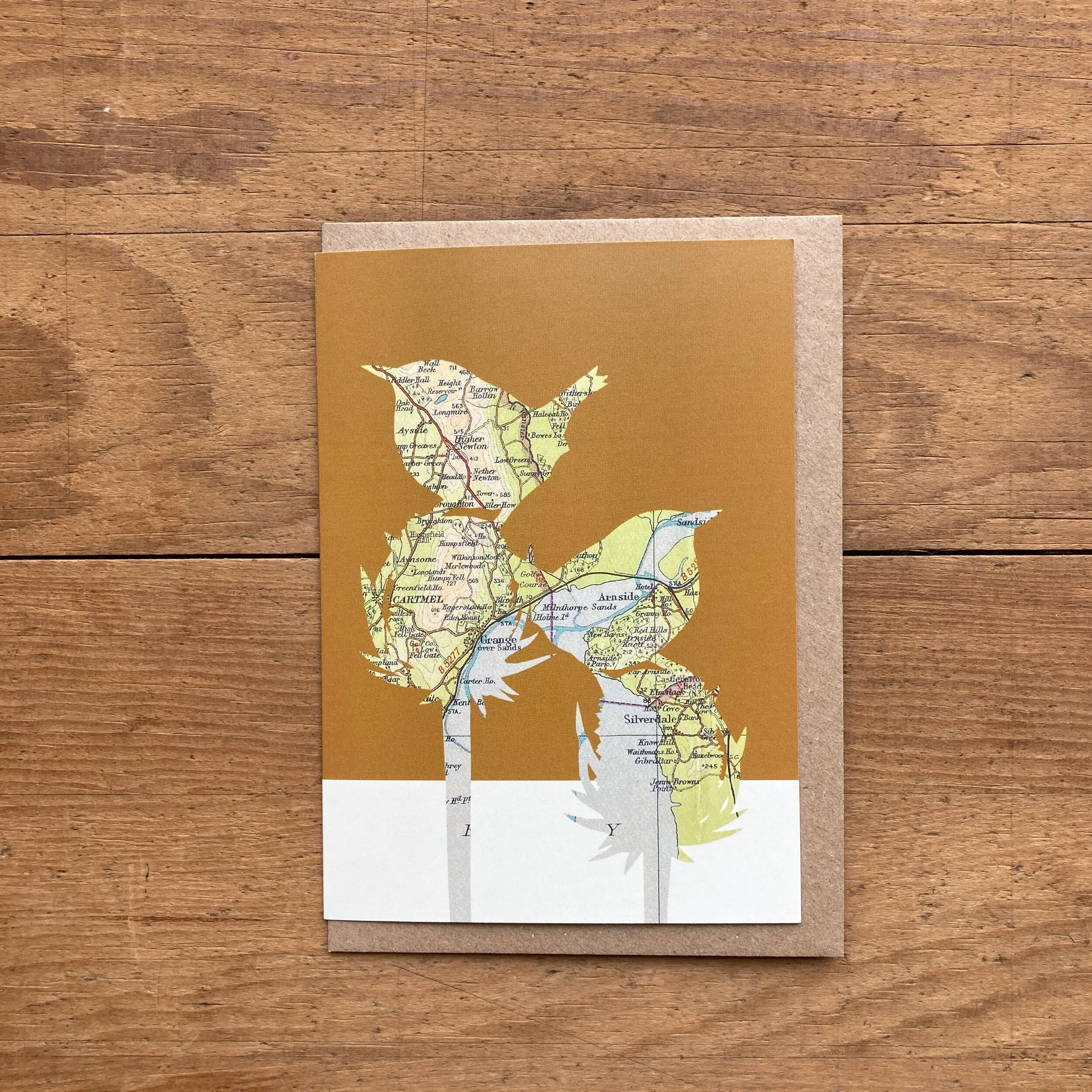 51C8F0D5-4B63-4088-AE01-8C1EC3BAB271