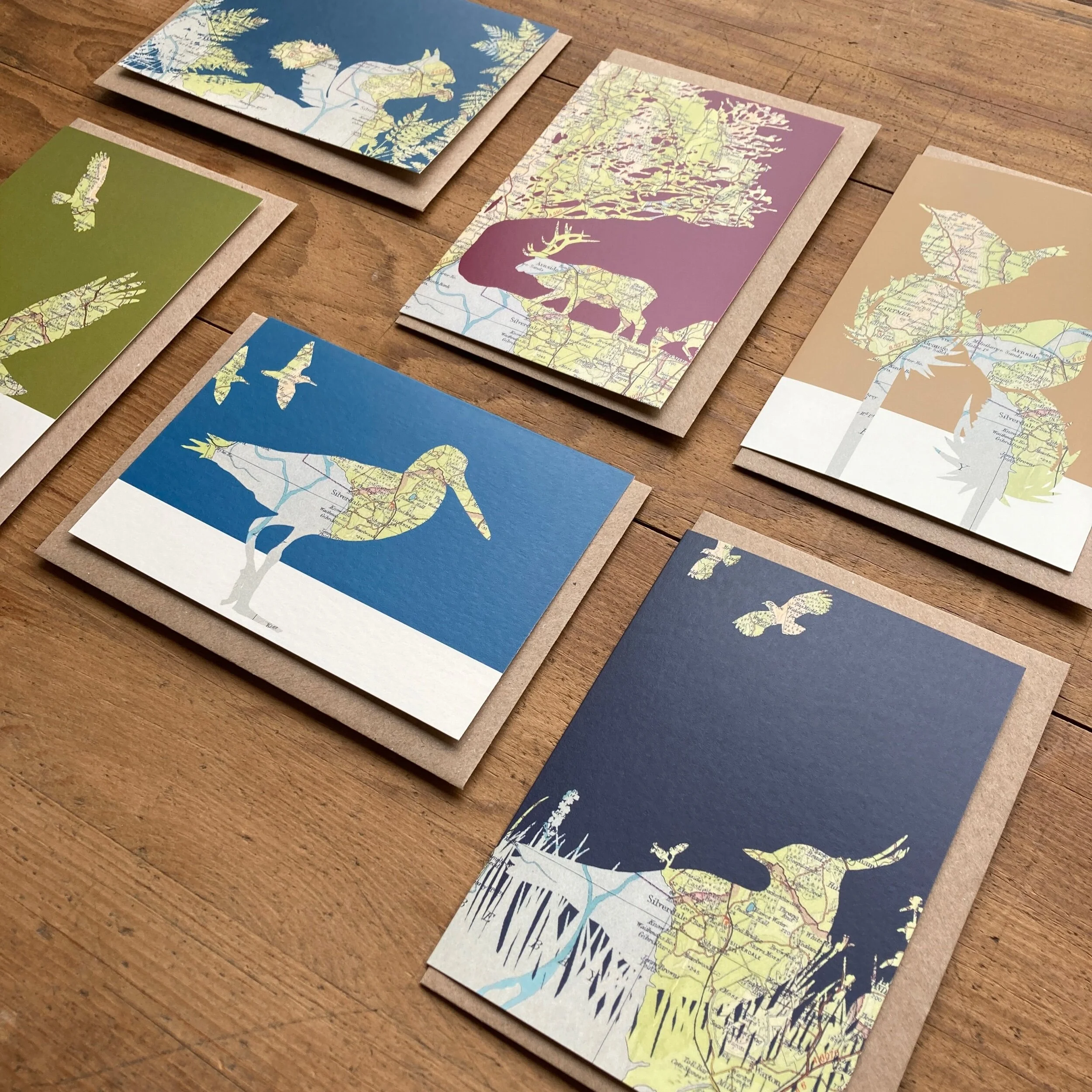 45363B0B-3960-4FFB-AC7F-4F8D9F16BE73