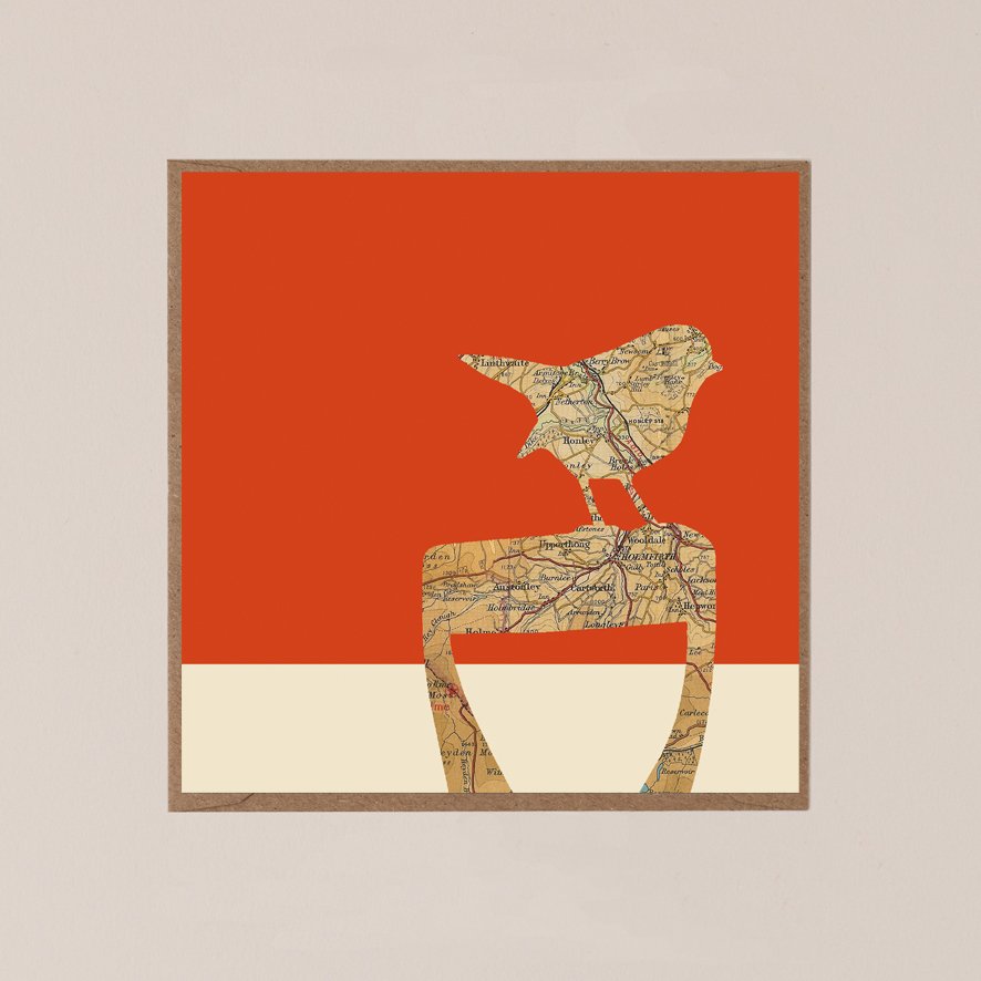 Robin - Blood Orange