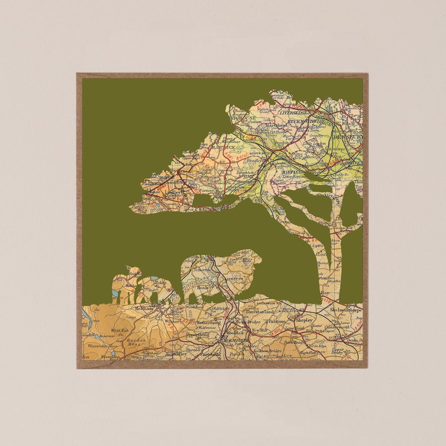 Sheep & Pine - Grass Green