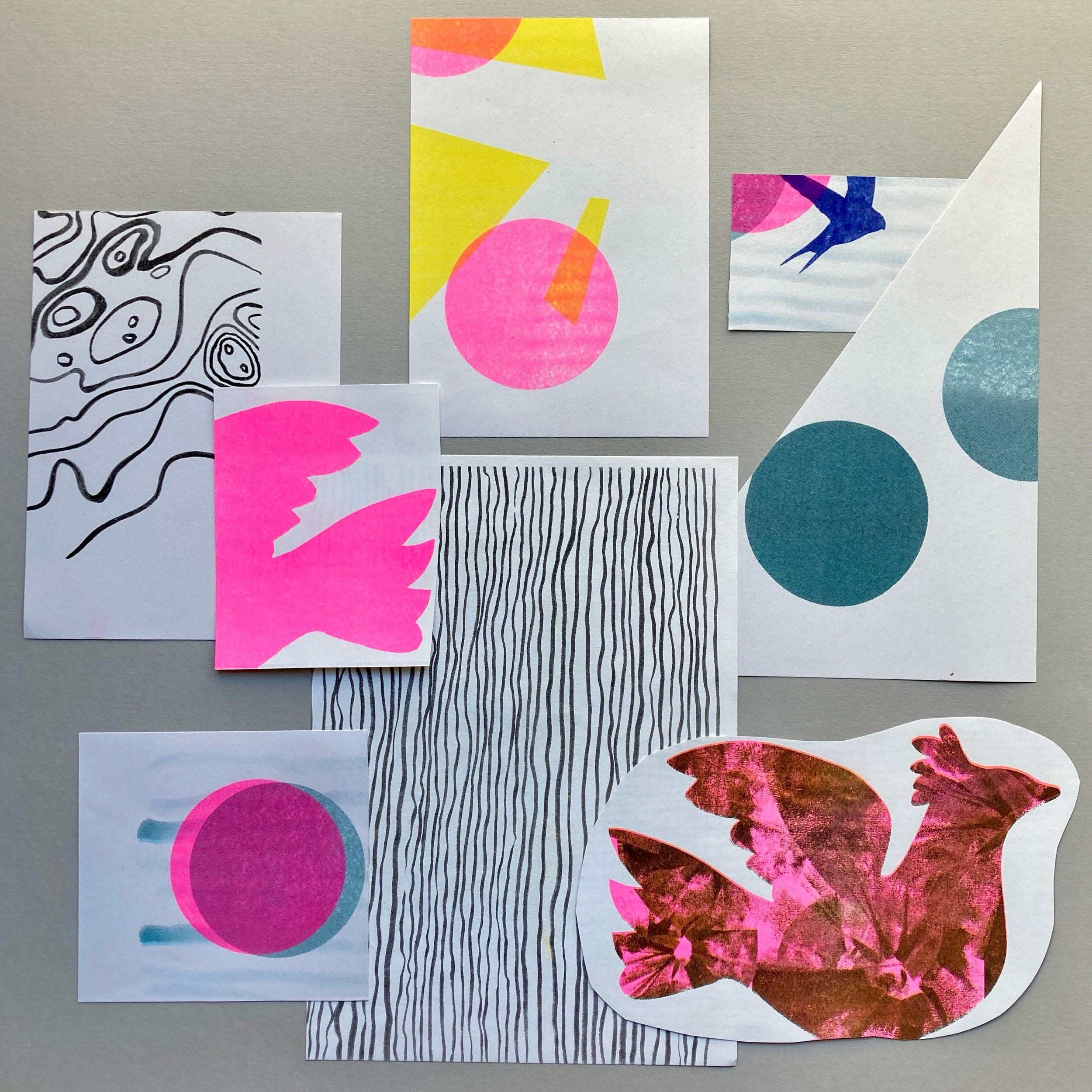 4BF5B5A9-E575-4338-91FE-C951CD0FD6A7.jpeg