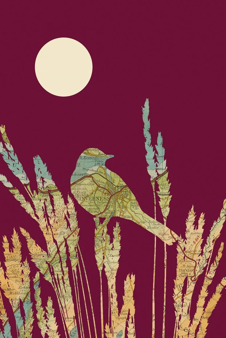 Inverness Wagtail A4 Print Detail- Website.jpg