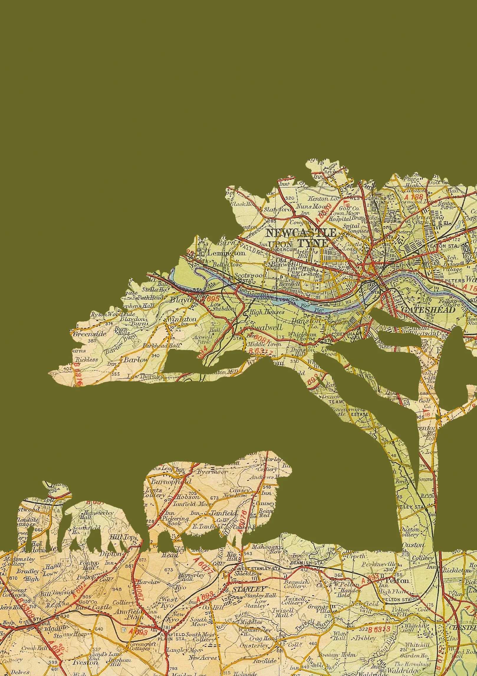 Newcastle Sheep A4 Print - Website Detail.jpg