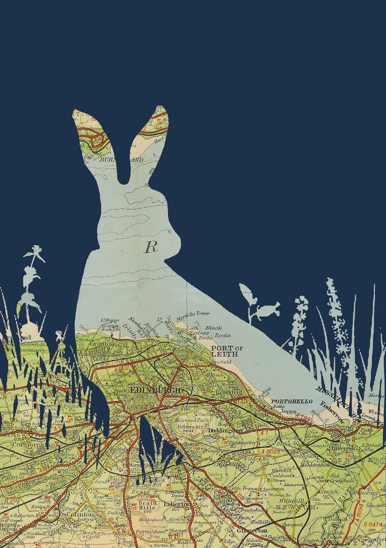 Edinburgh Hare A4 Print - Website Detail.jpg