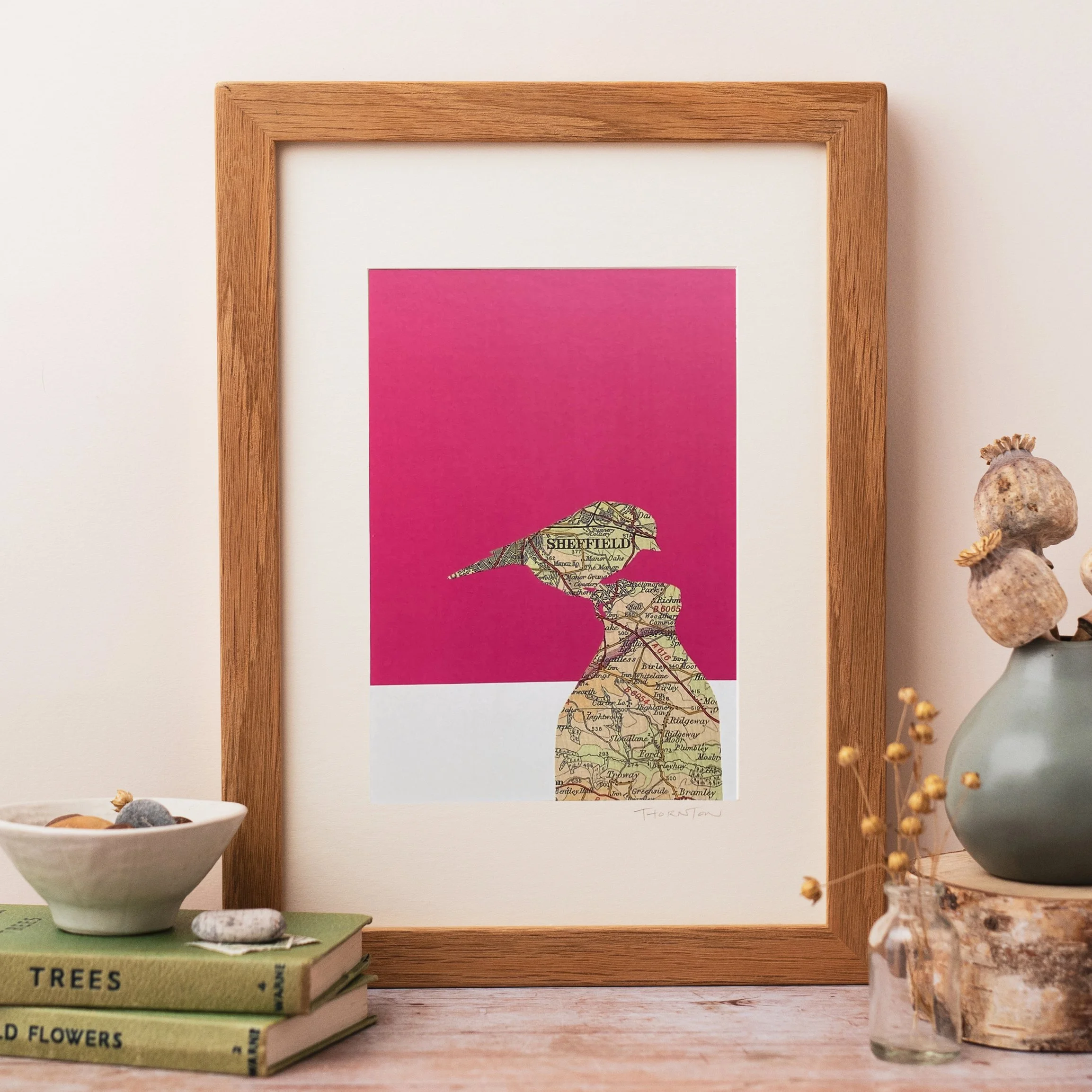 A Sheffield Blue Tit map print with a bright pink background.