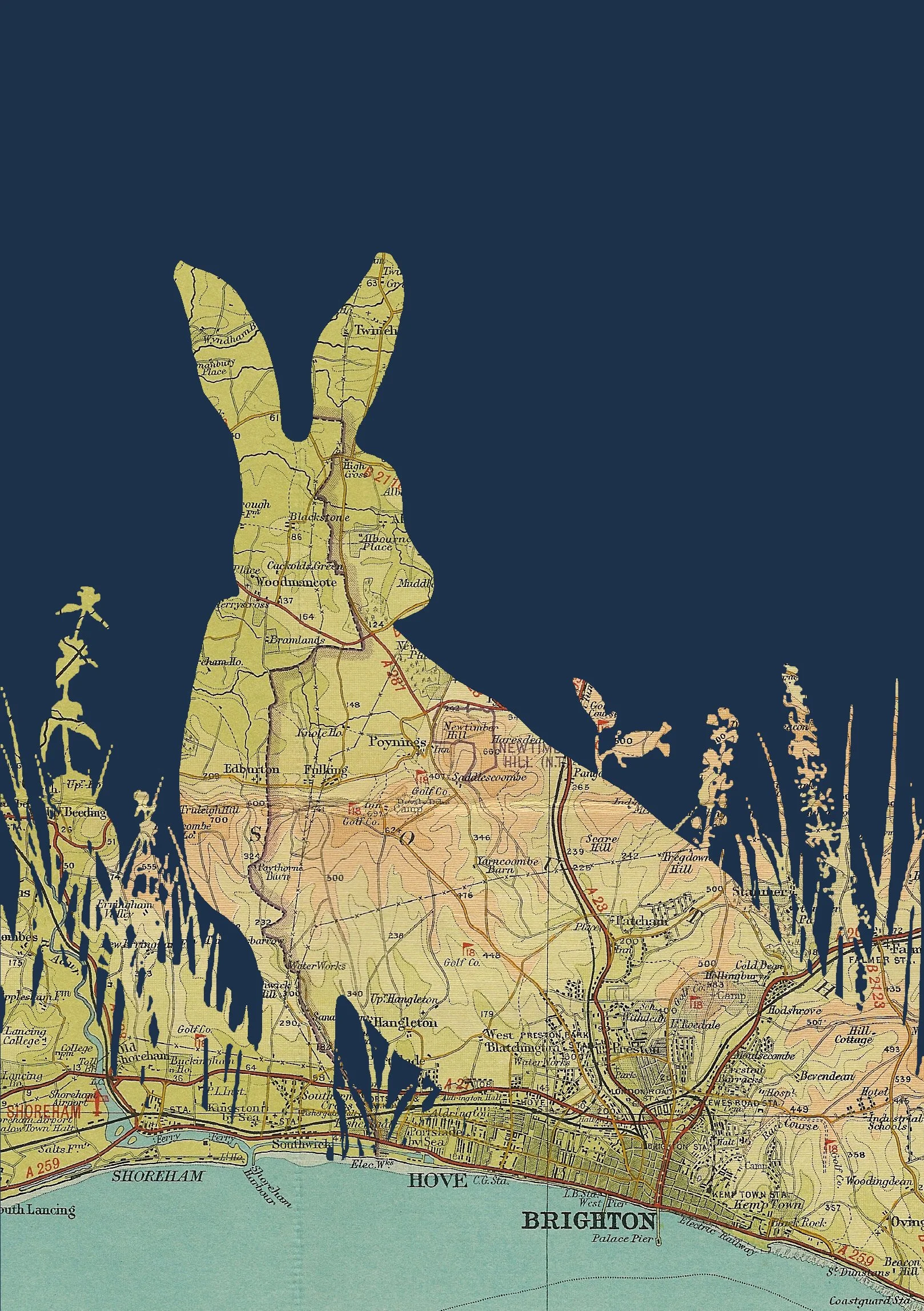 Brighton Hare A4 Print - Website Detail.jpg