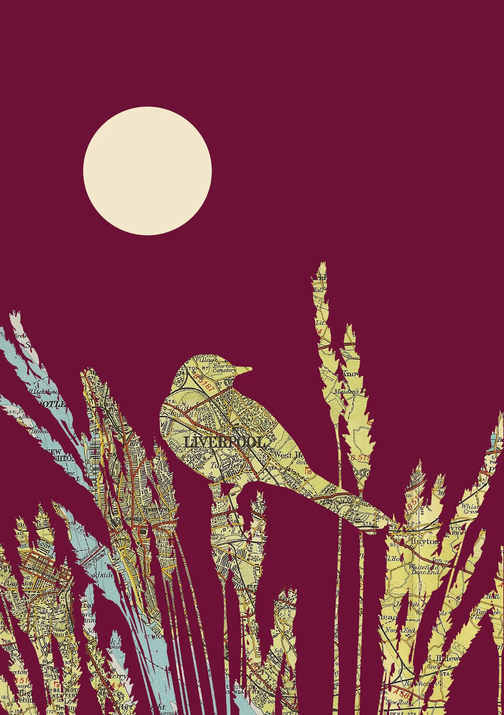Liverpool Wagtail A4 Print - Website Detail.jpg