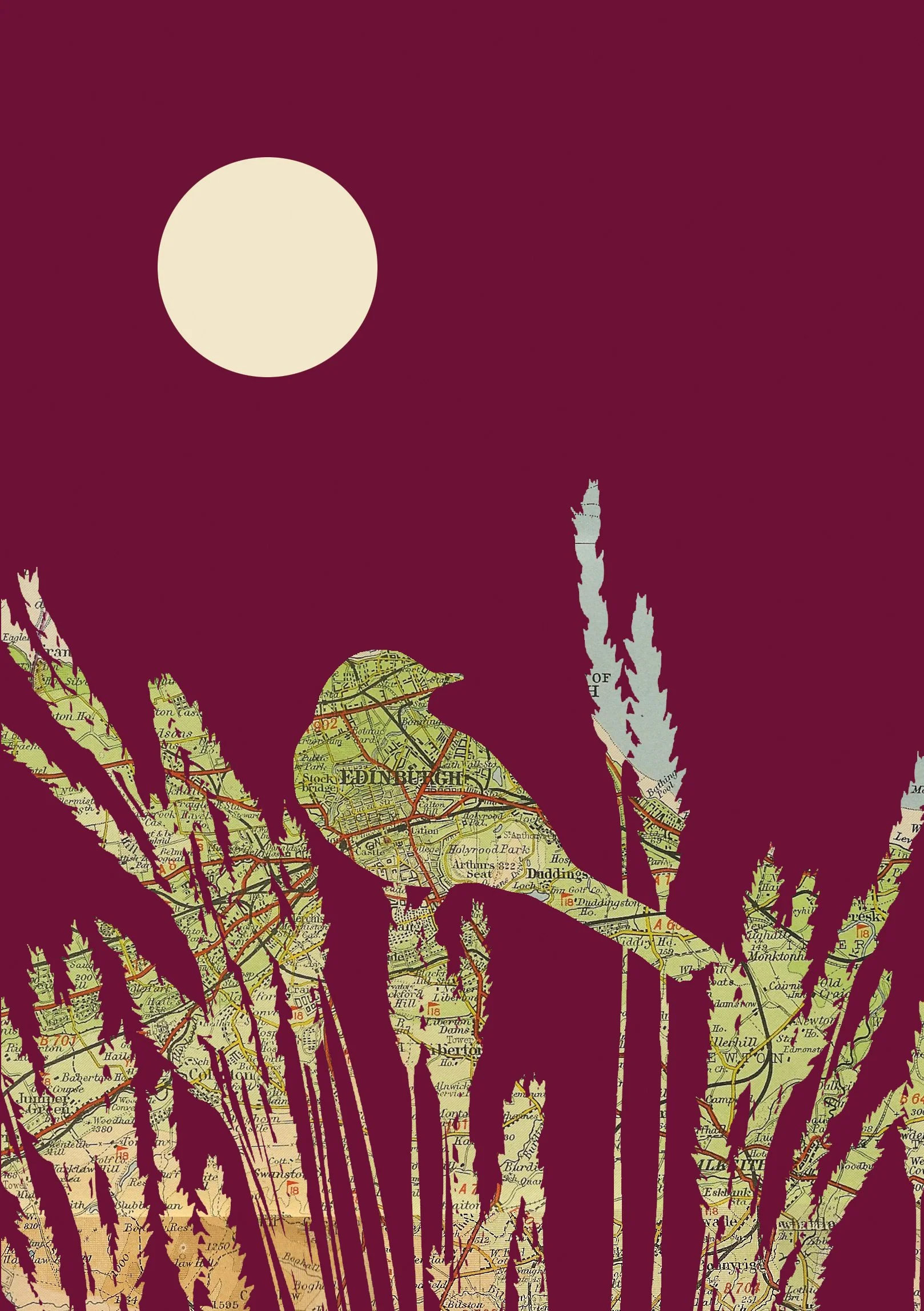 Edinburgh Wagtail A4 Print - Website Detail.jpg