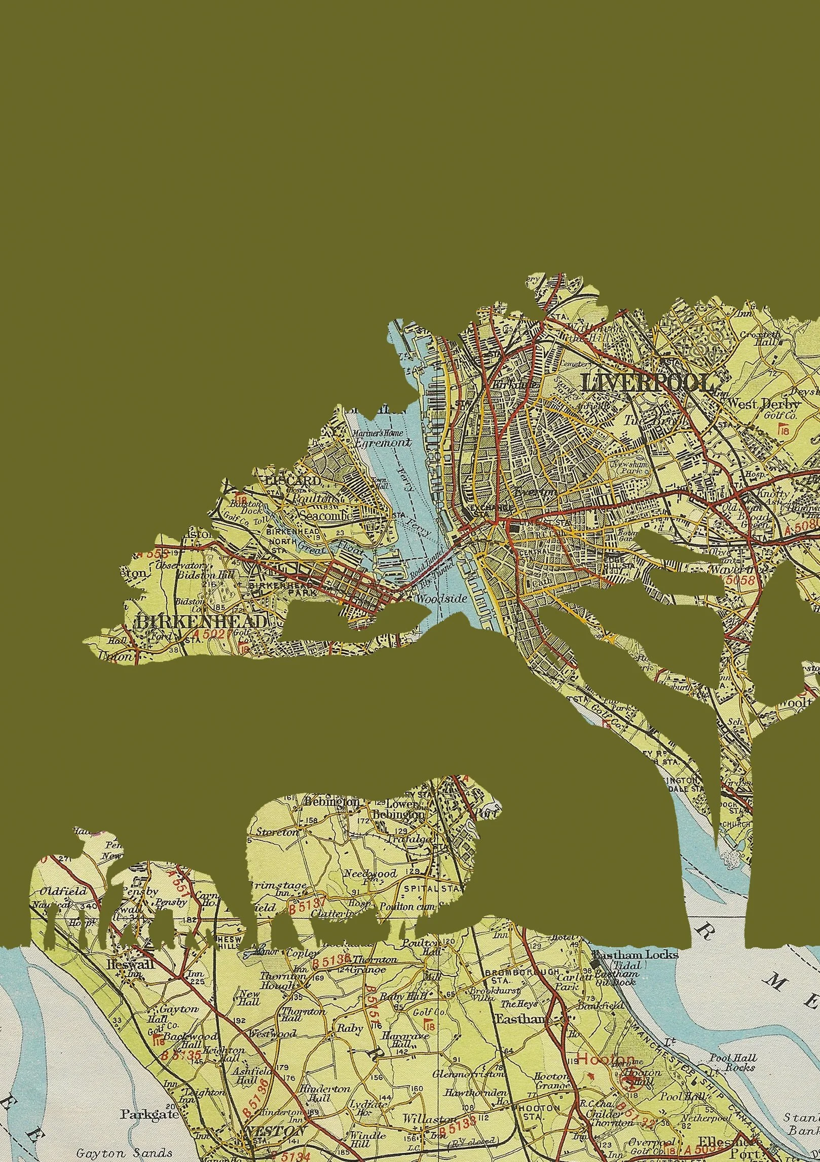 Liverpool Sheep A4 Print - Website Detail.jpg