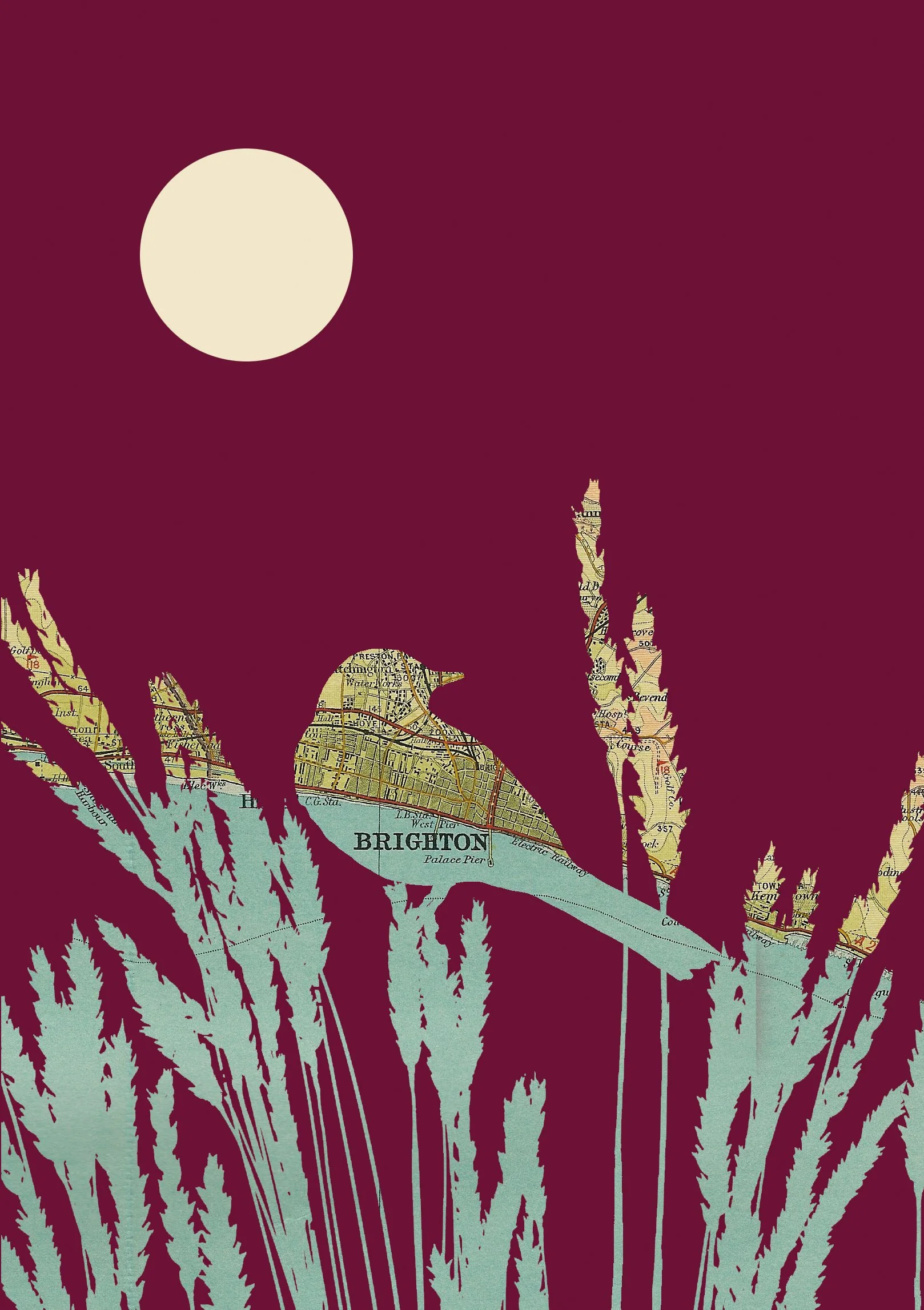 Brighton Wagtail A4 Print - Website Detail.jpg