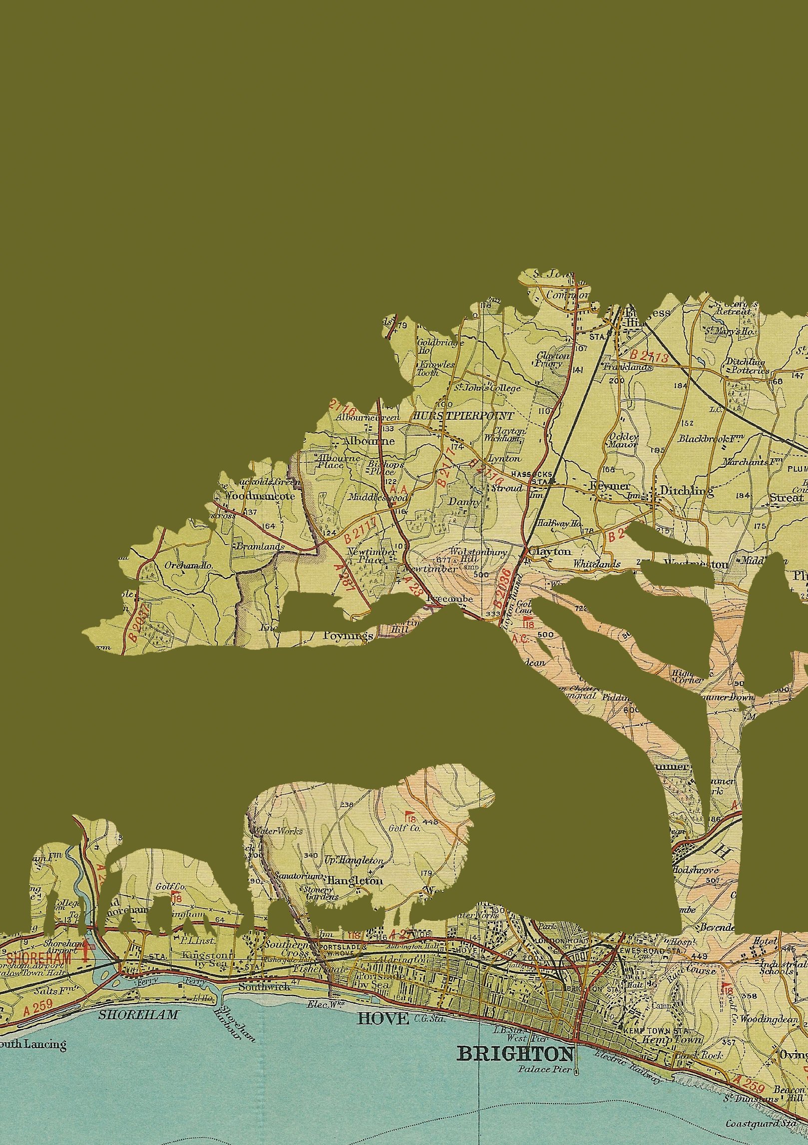 Brighton Sheep A4 Print - Website Detail.jpg