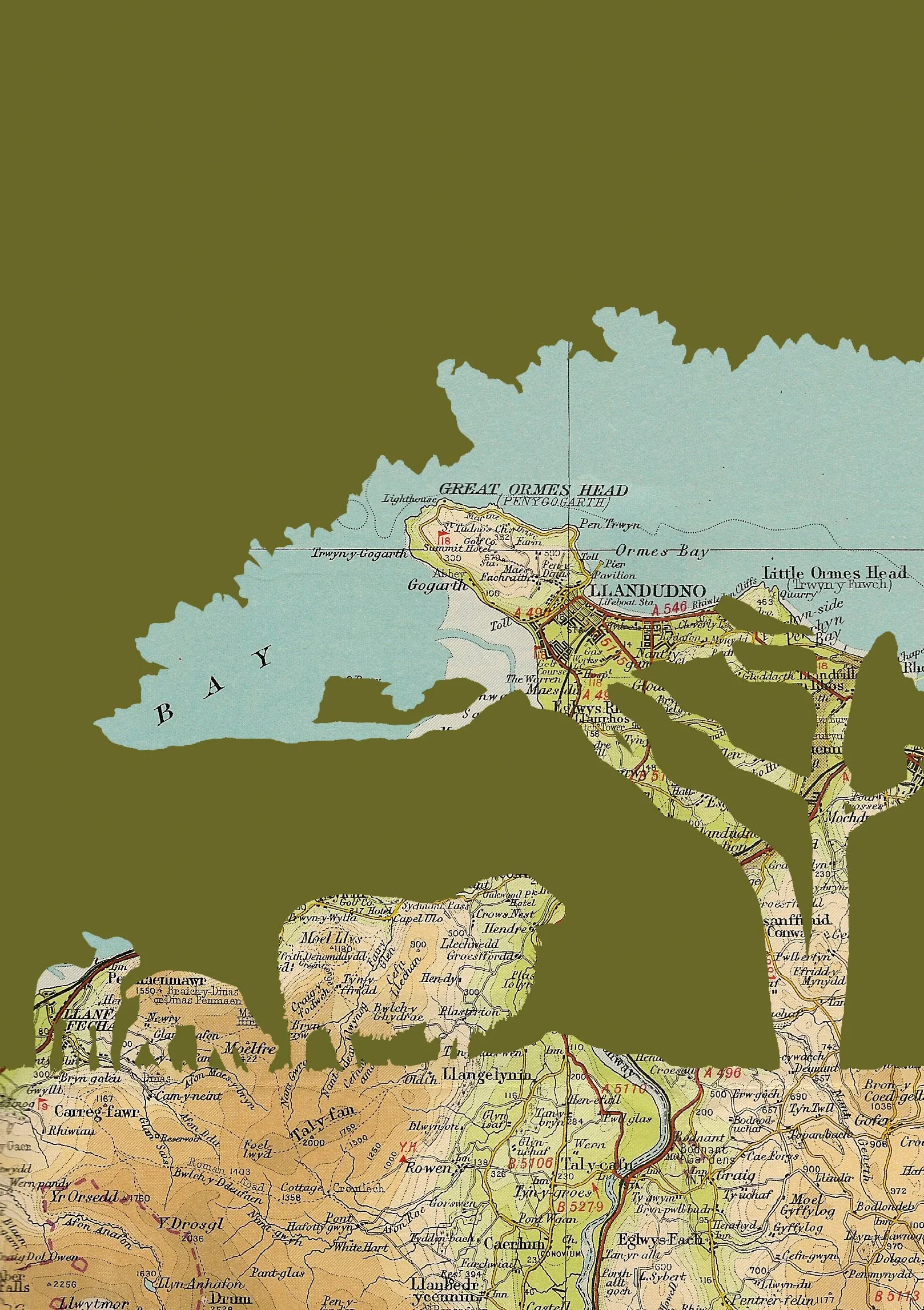 Llandudno Sheep A4 Print - Website Detail.jpg