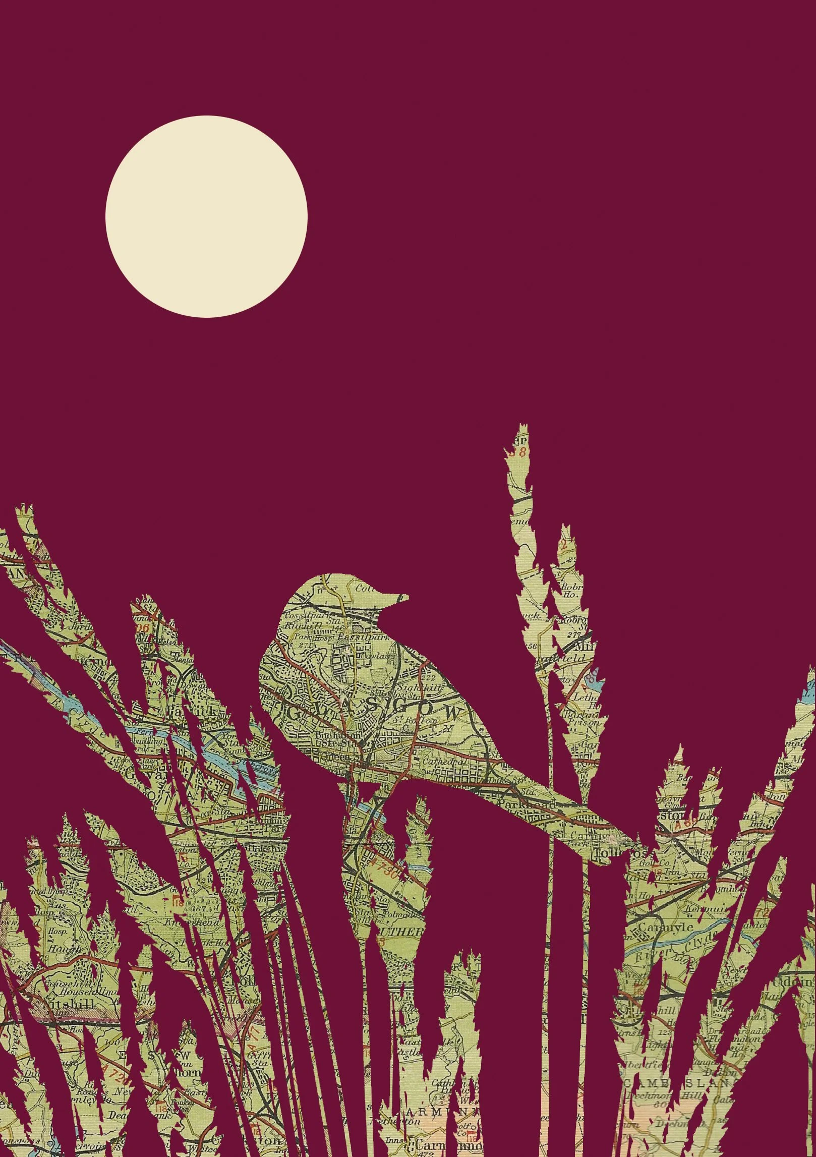 Glasgow Wagtail A4 Detail.jpg