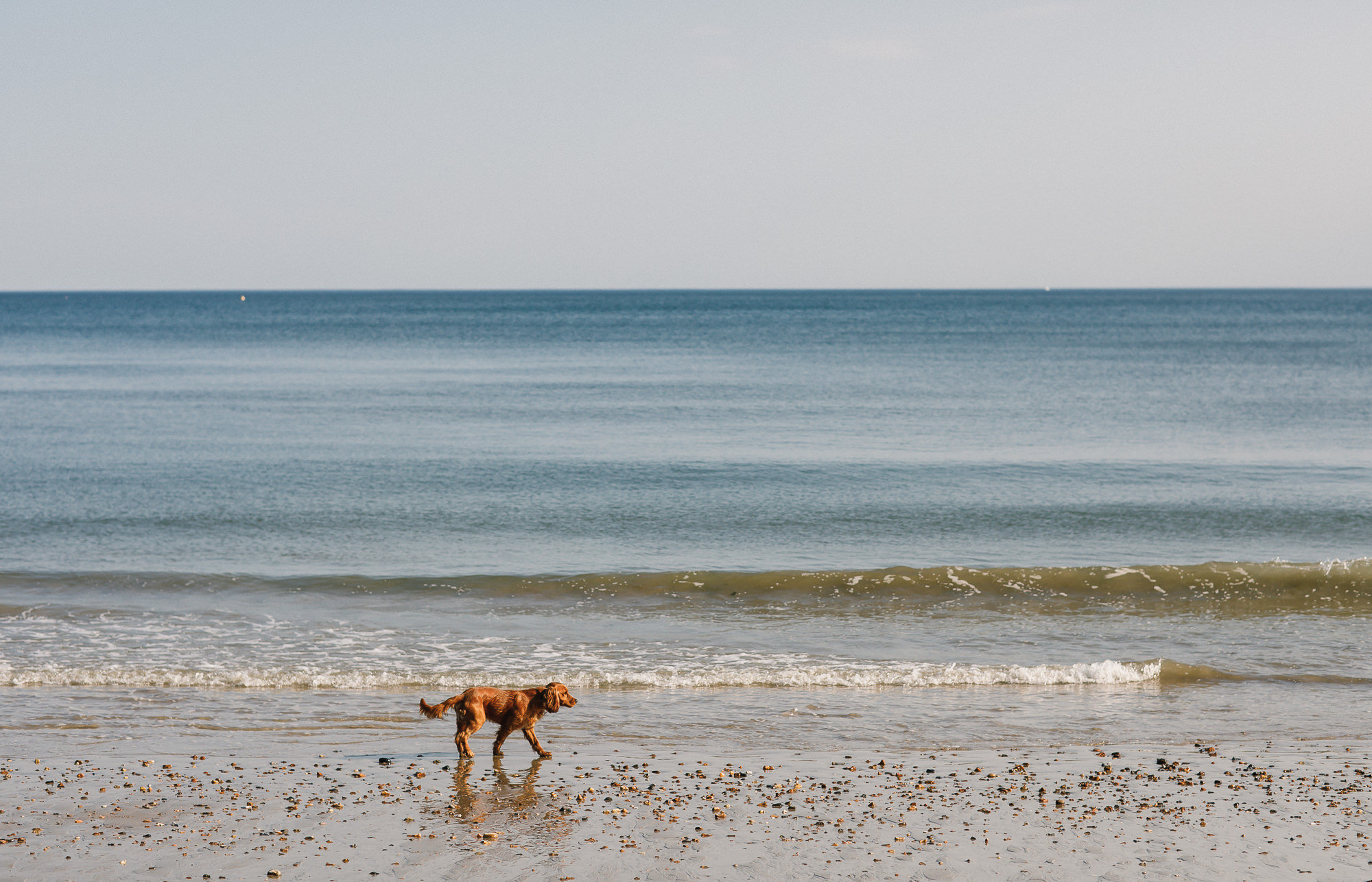 Dorset wedding photographers 005.jpg