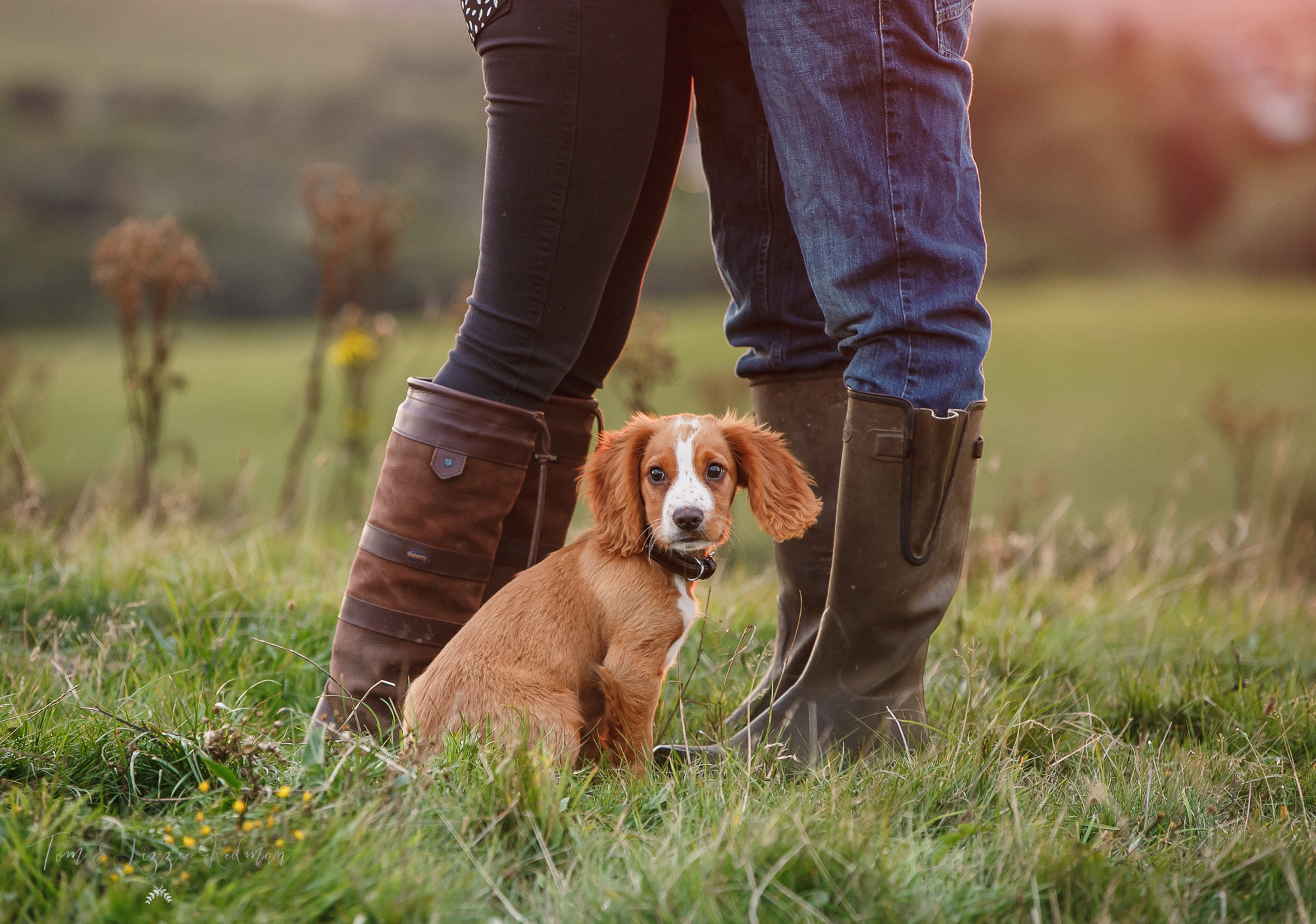 Dorset wedding photographers 021.jpg