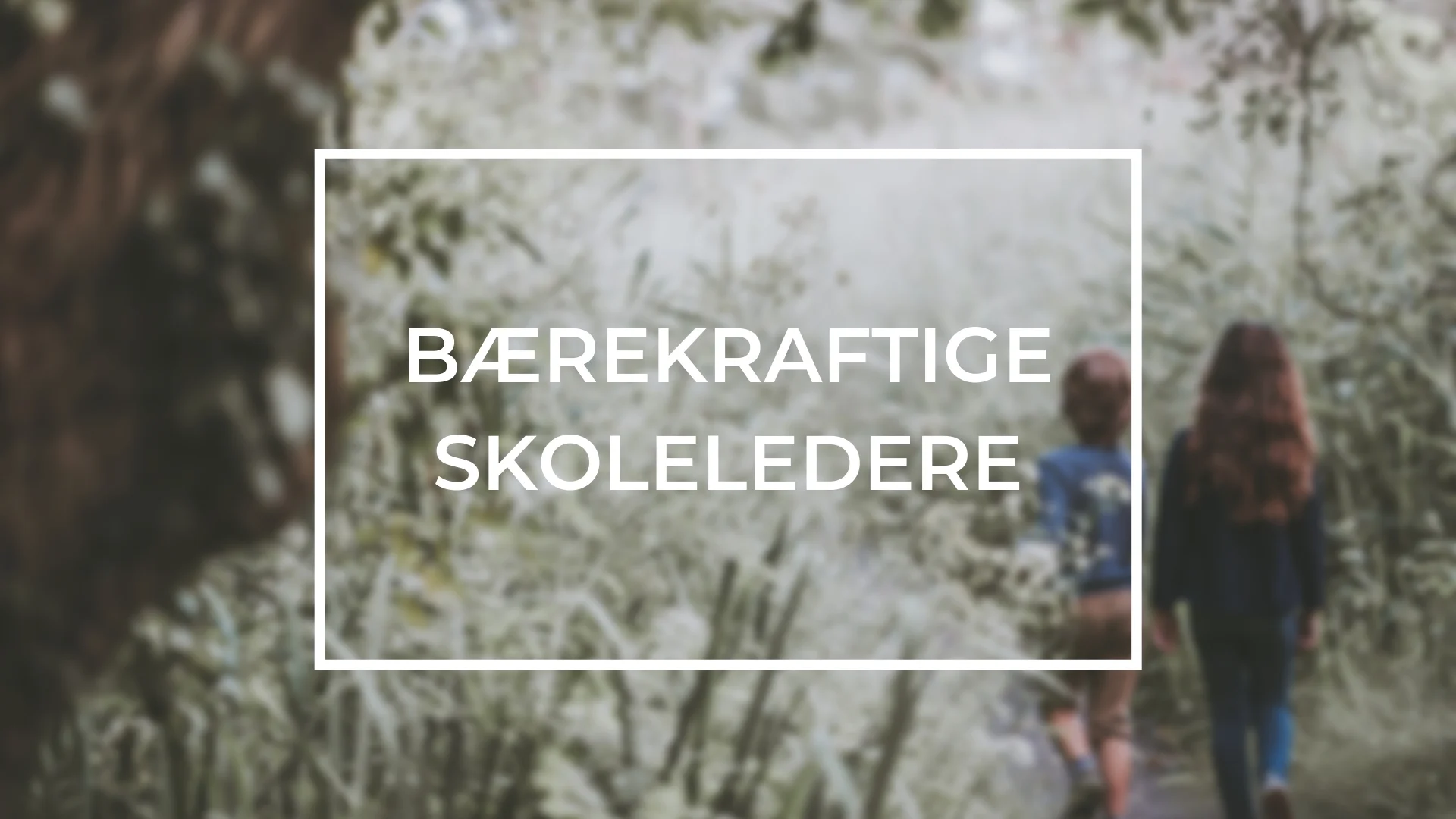 BÆREKRAFTIGE SKOLELEDERE.jpg