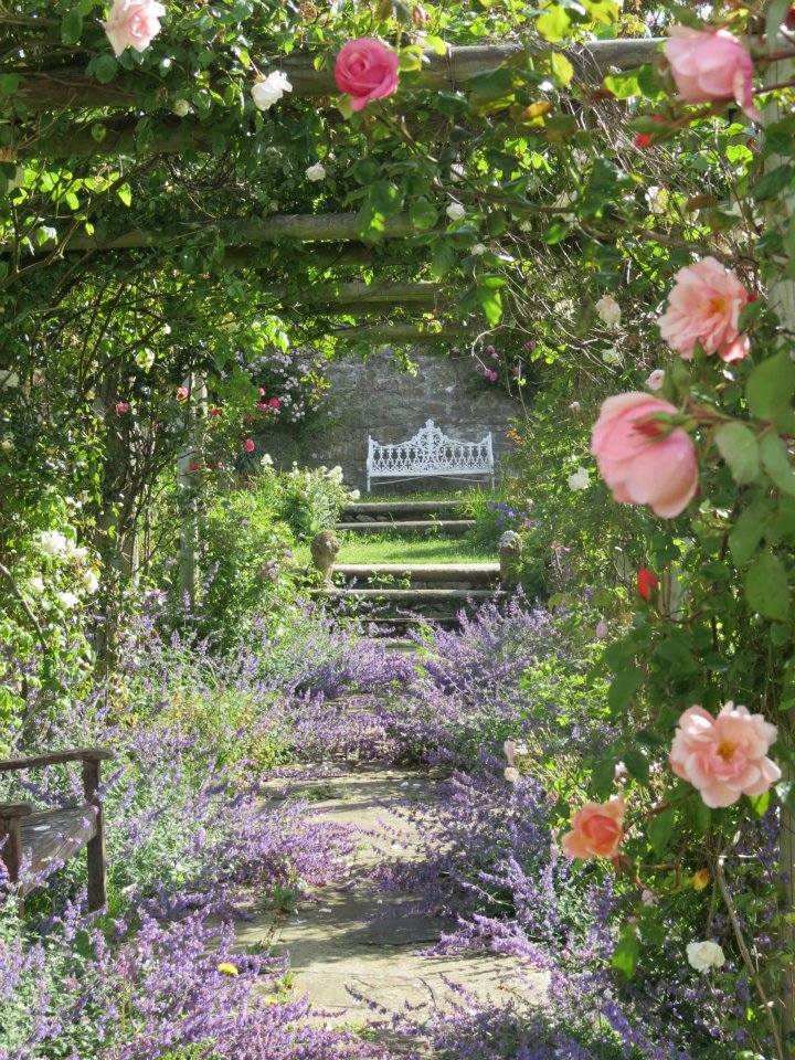 slade garden.jpg