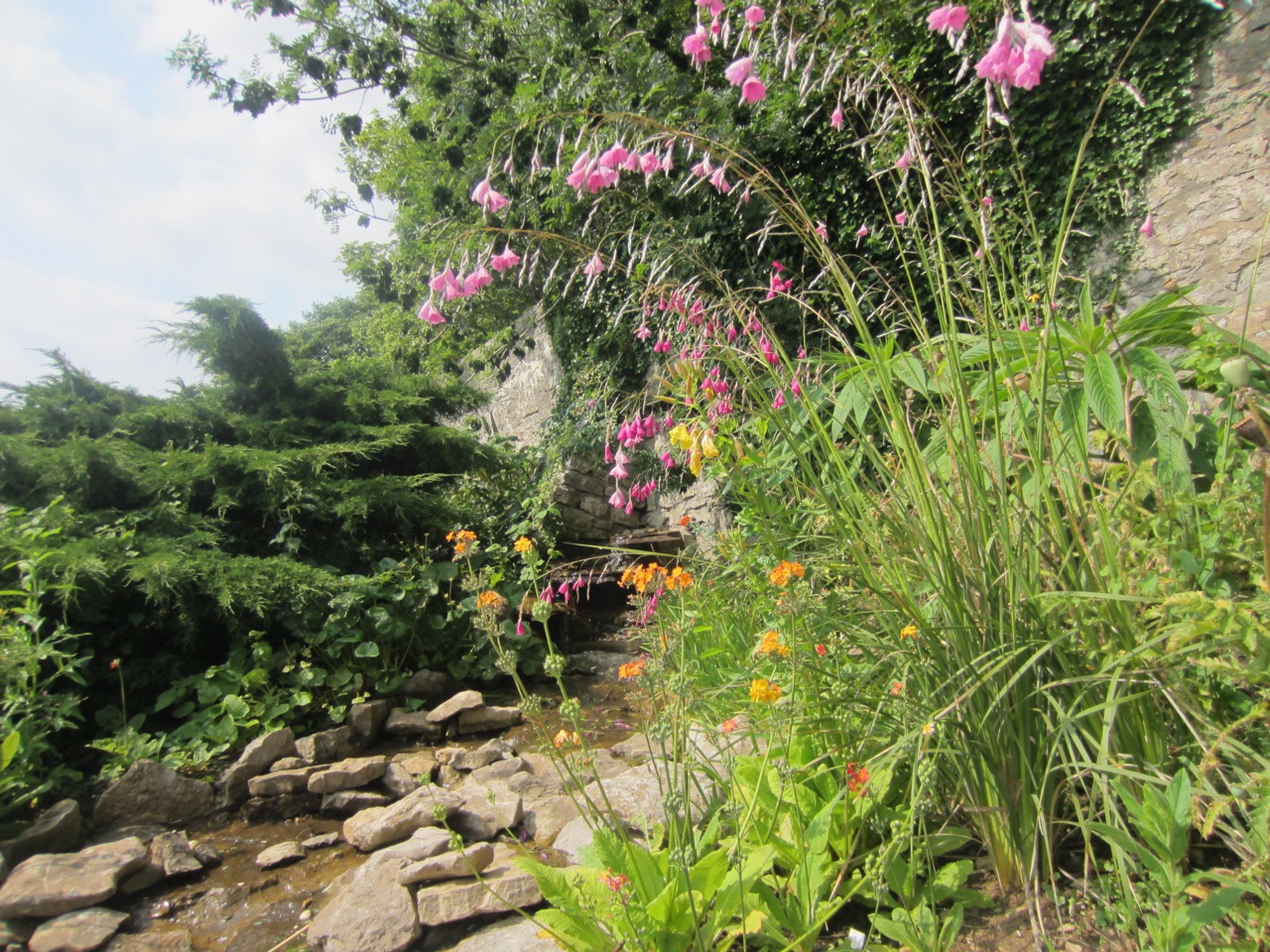 IMG_1055.jpeg